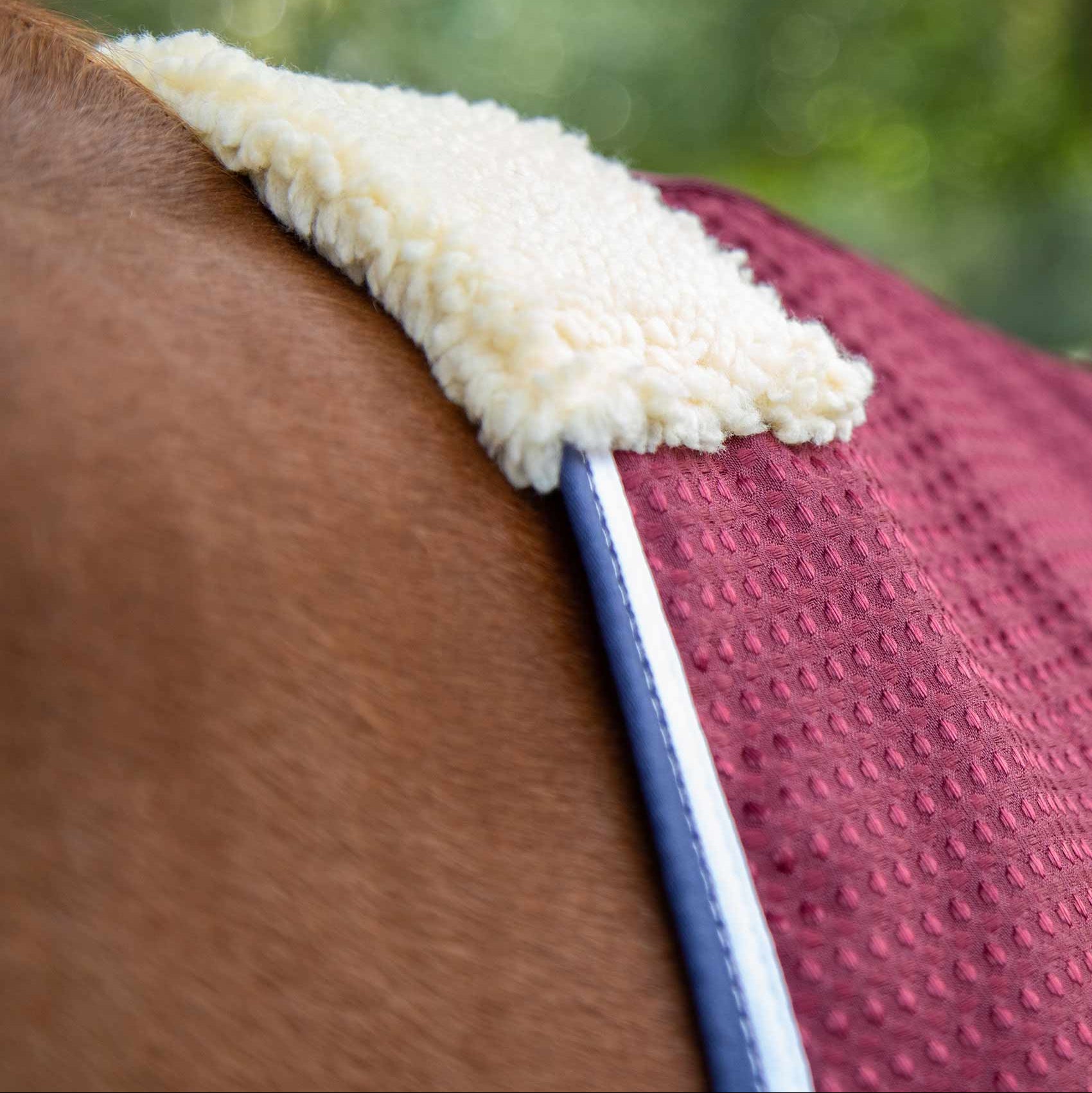 Premier Equine Burgundy Waffle Horse Cooler Rug: Breathable, Wicking, Comfort. Ideal for cooling and travel. Equiflair.