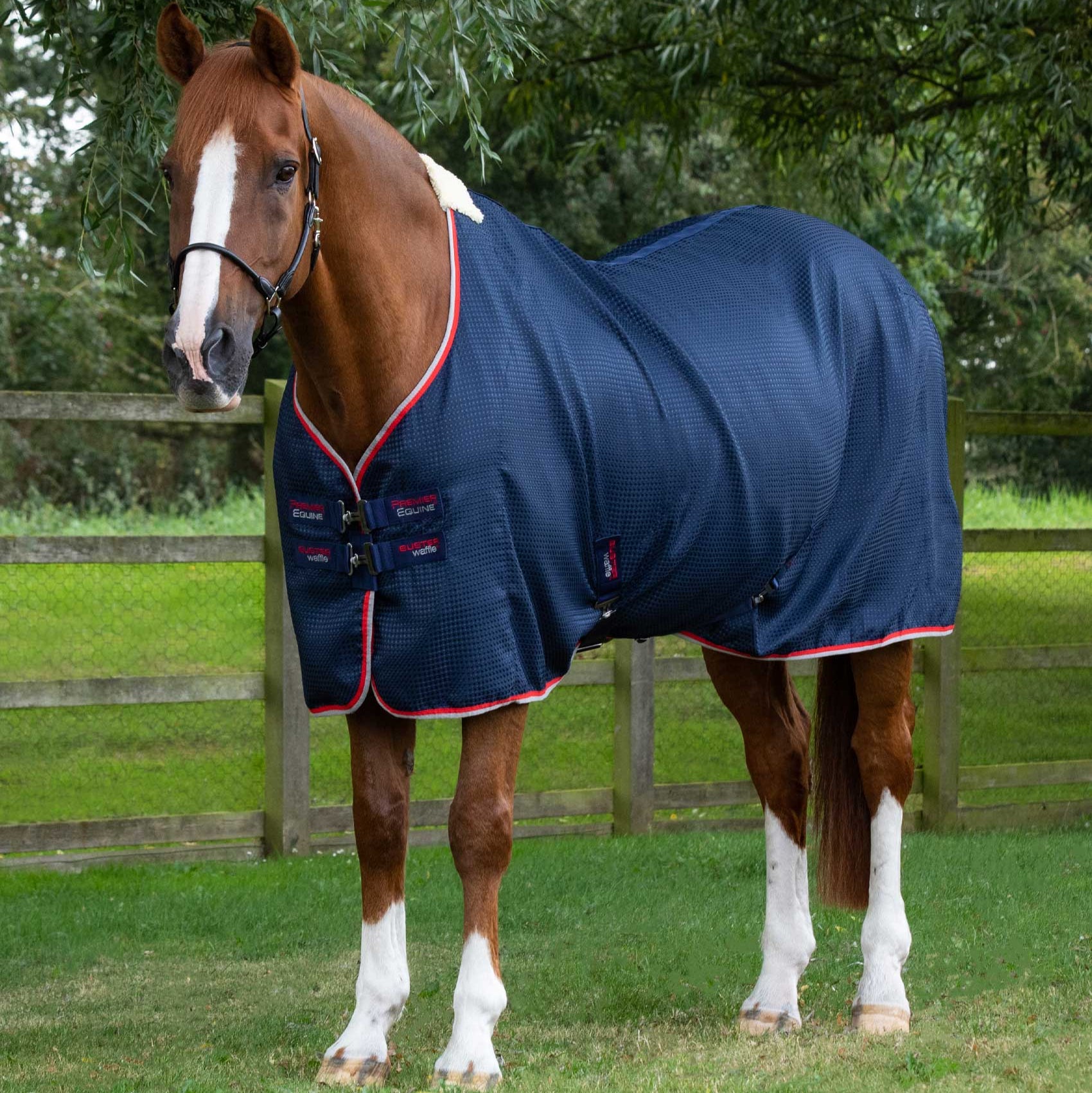 Premier Equine Buster Waffle Cooler Rug Navy - Lightweight, Breathable Horse Cooler Rug