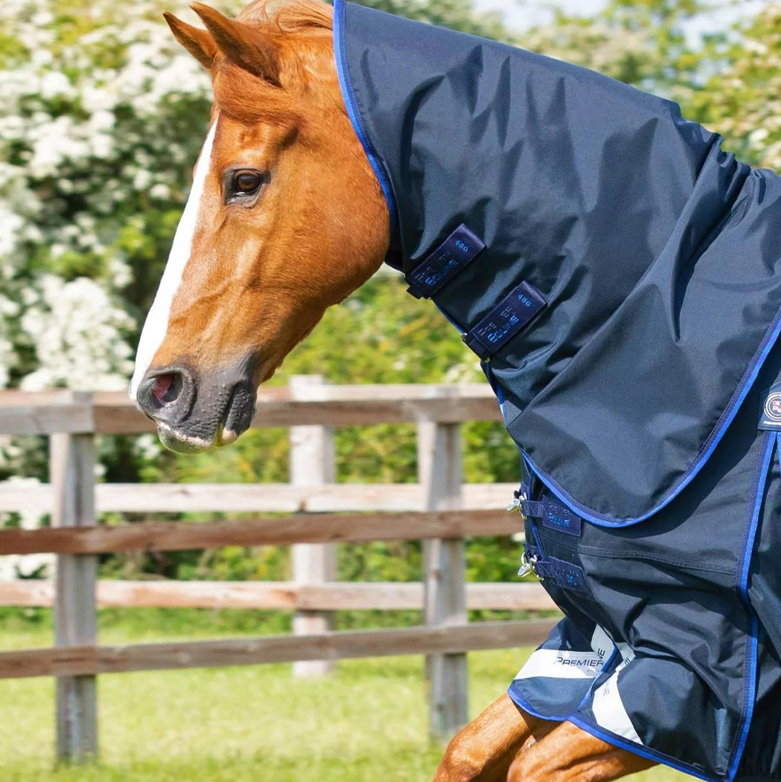 Premier Equine Buster 40g Turnout Rug with Classic Neck Cover Navy