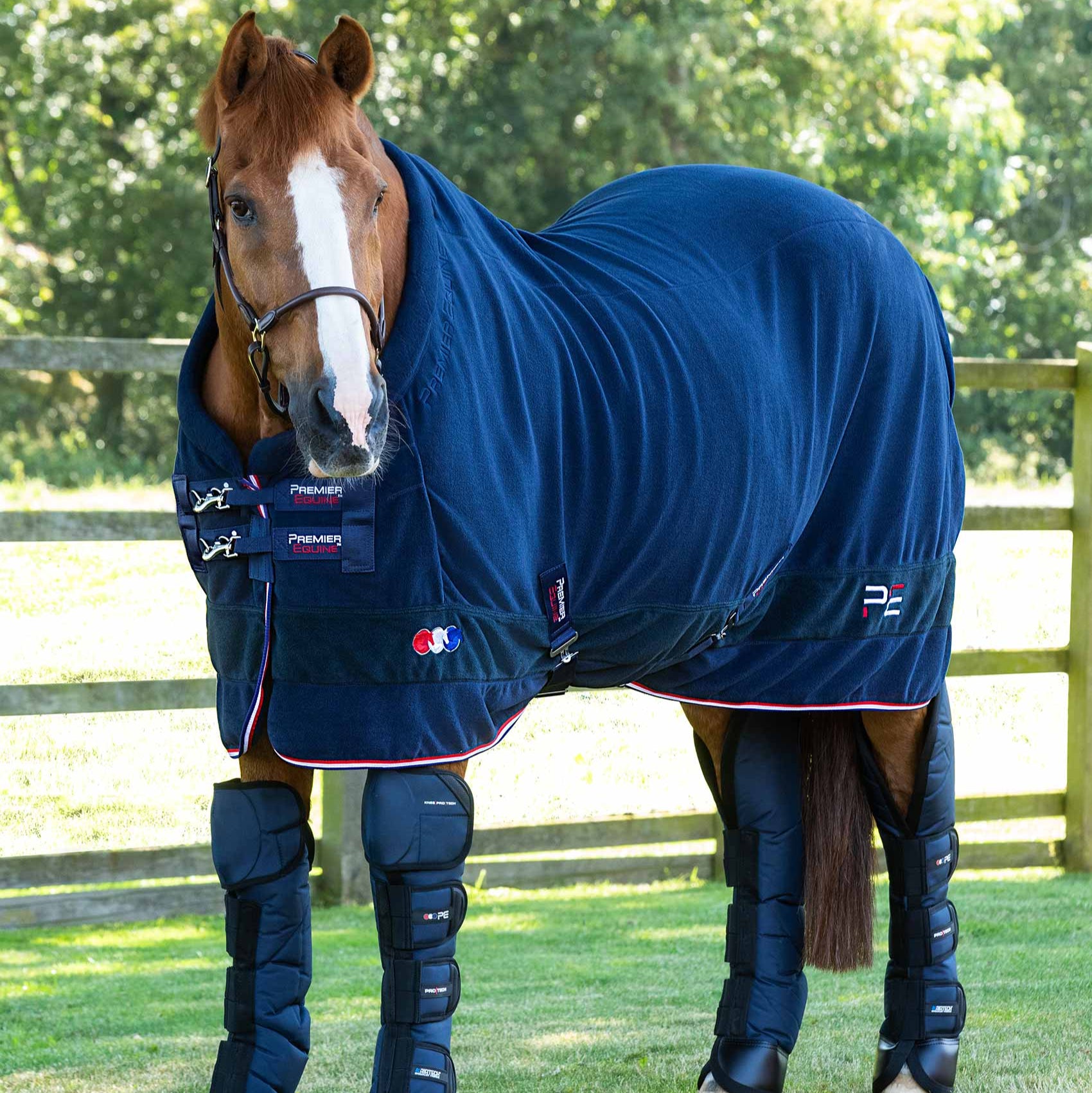 Premier Equine Buster Fleece Cooler Rug - Vecto Edition Navy. Horse blanket for travel, shows & daily use. Anti-Pill, breathable & stylish!