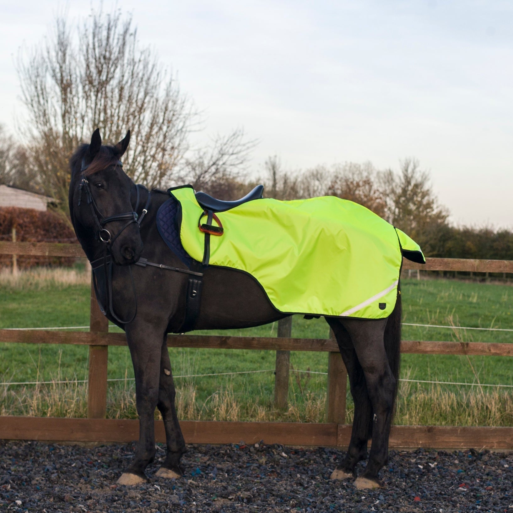 Equiflair Hi Viz Exercise Sheet: Yellow waterproof wrap-around horse rug with reflective safety tail flap.