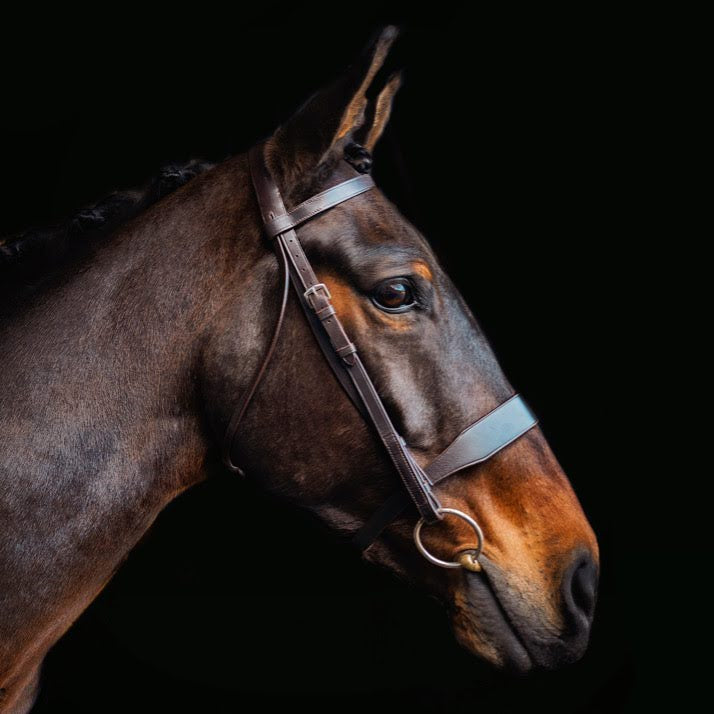 Equiflair CAMEO Hunt Bridle with Two Browbands - Leather Horse Bridle with Plain & Plaited Browband