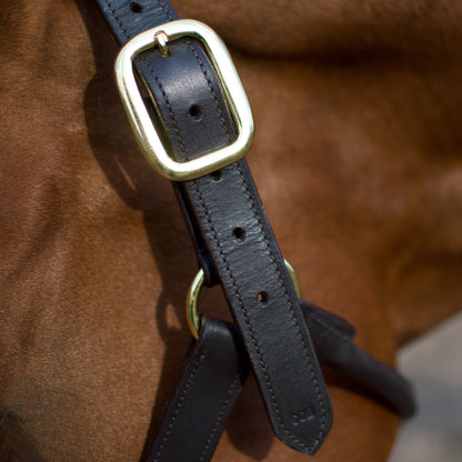 CAMEO Leather Headcollar Black - Equiflair: Premium horse headcollar with brass fittings. Adjustable nose and poll.