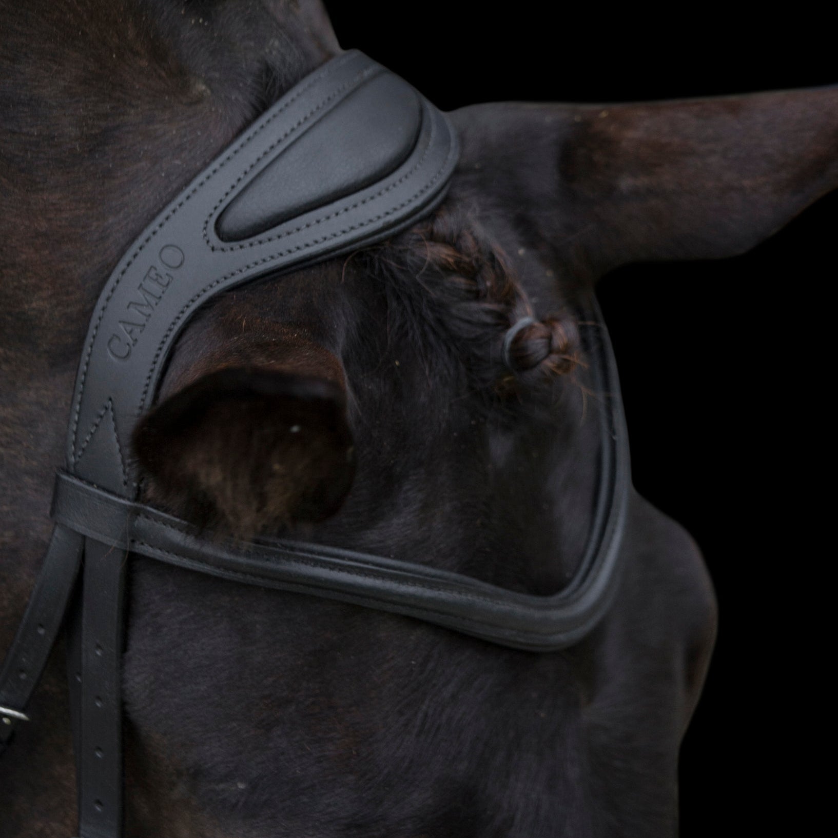 CAMEO Black Leather Anatomical Horse Bridle - Comfort Padded Headpiece & Browband | Equiflair