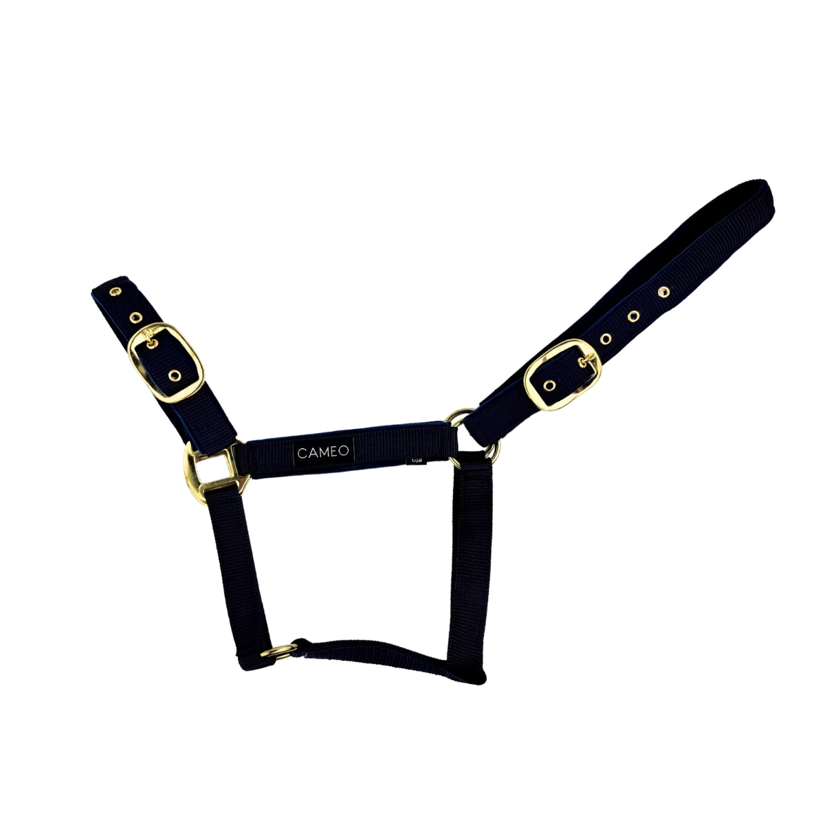 CAMEO Suede Padded Black Headcollar for Horses: Comfortable, Adjustable Halter