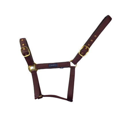 CAMEO Suede Padded Horse Headcollar - Chocolate Brown, Adjustable, Brass Fittings