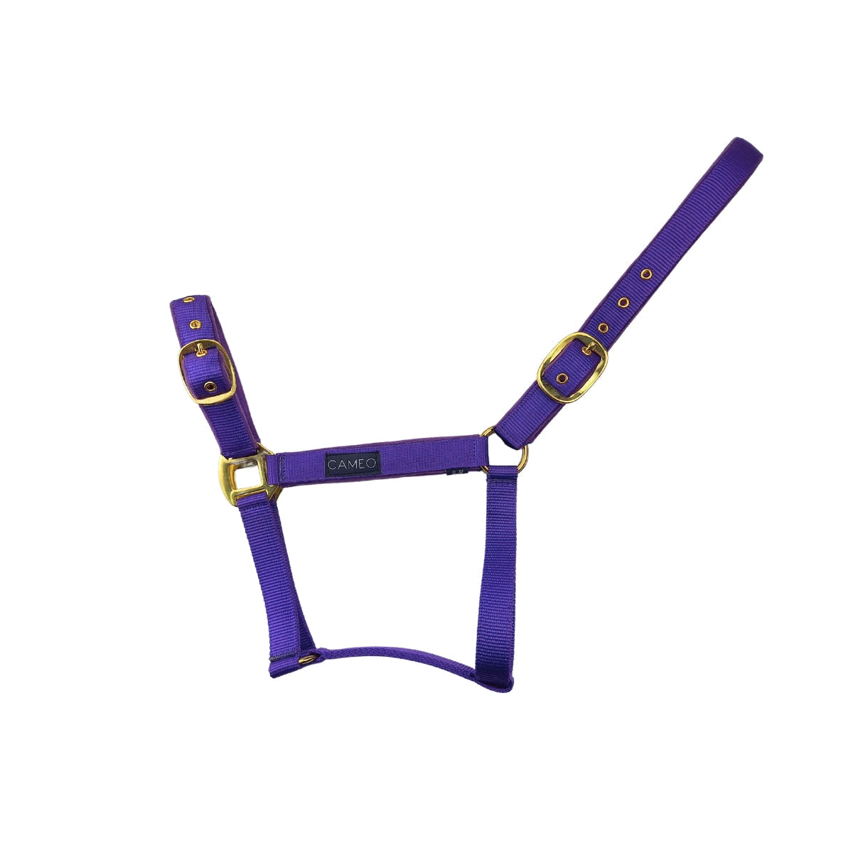 CAMEO Purple Padded Horse Headcollar with Brass Fittings - Comfortable & Adjustable