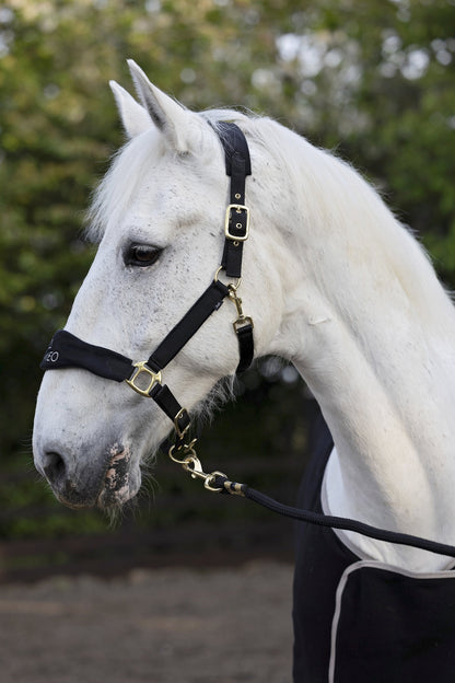 White Horse in CAMEO SUEDE ELITE Headcollar & Leadrope Black - Equiflair. Stylish equestrian headwear for optimal comfort and control