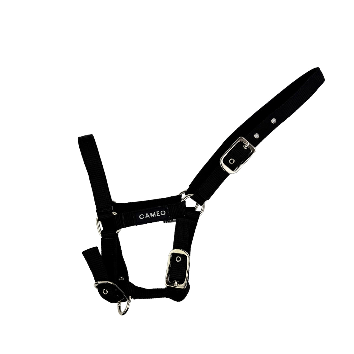 CAMEO Foal Headcollar Black - Adjustable Horse Halter | Equiflair