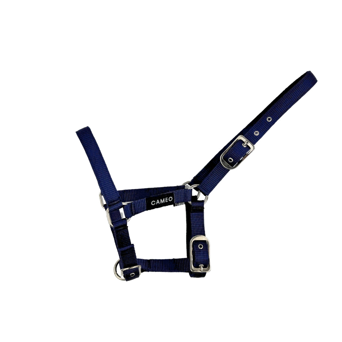 CAMEO Foal Headcollar - Adjustable Navy Blue Halter | Equiflair