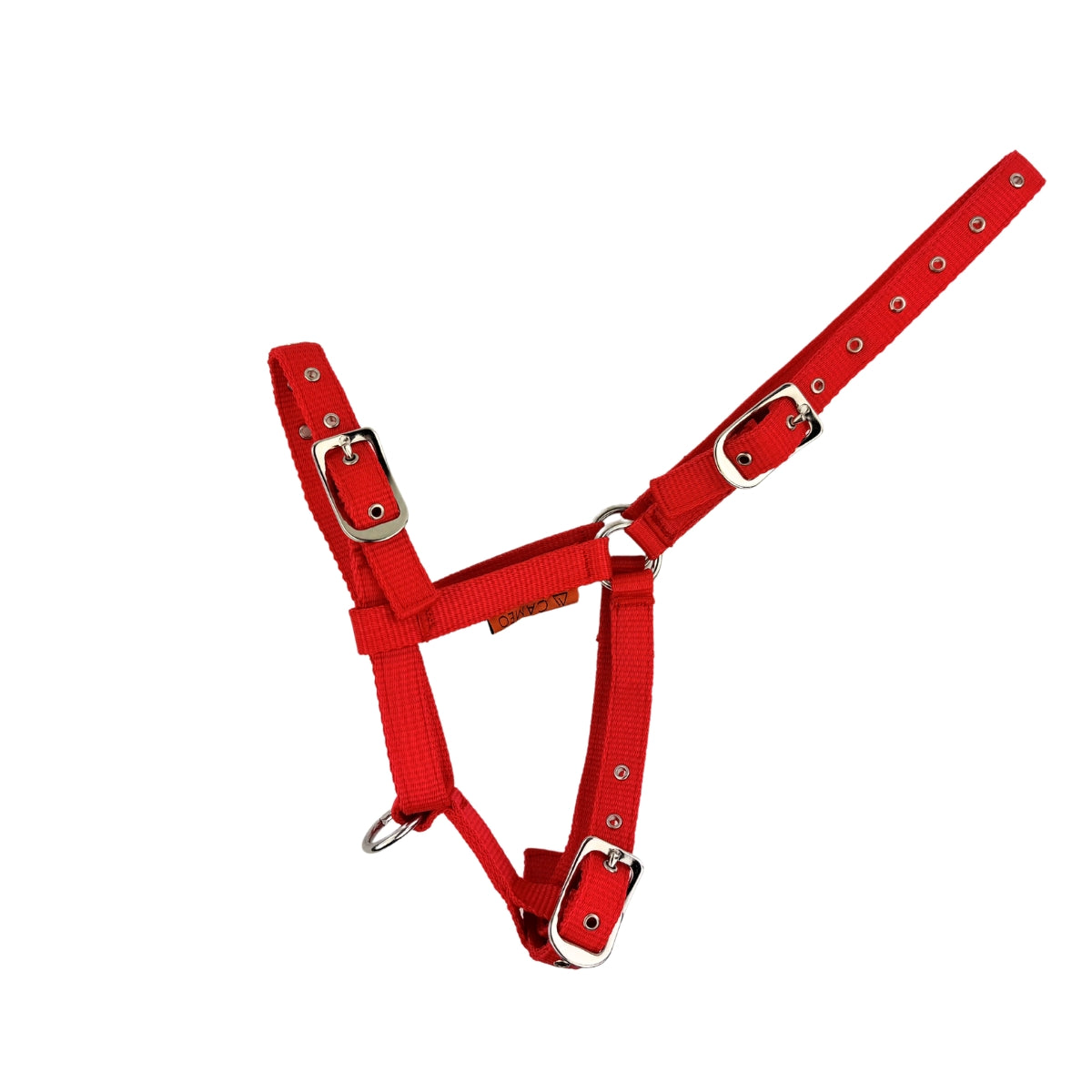 CAMEO Red Foal Headcollar - Adjustable Horse Halter - Horse Tack