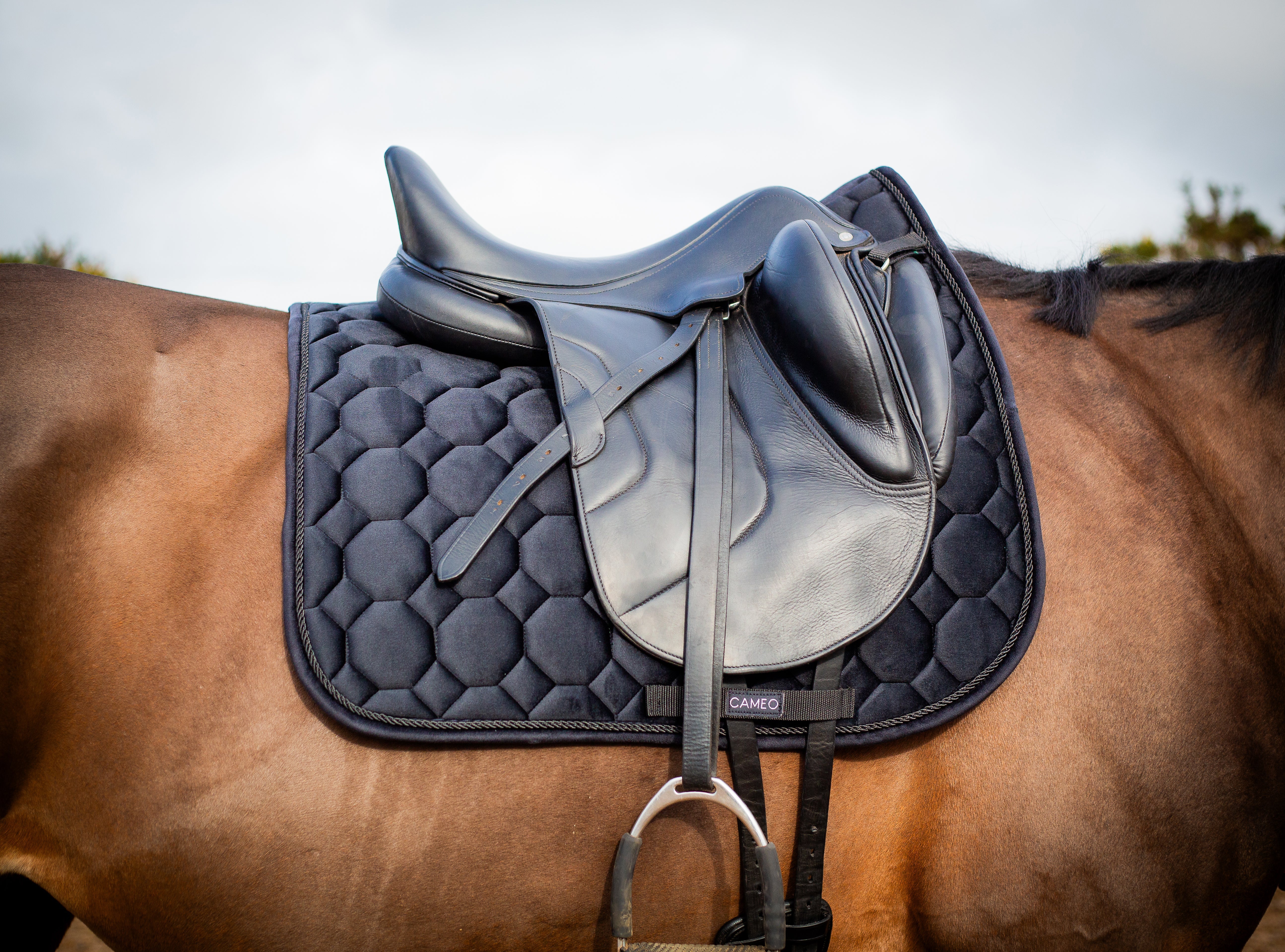 CAMEO Dressage Saddlecloth Black | Equiflair - Premium Equestrian Saddle Pad, Black Suede Saddlecloth