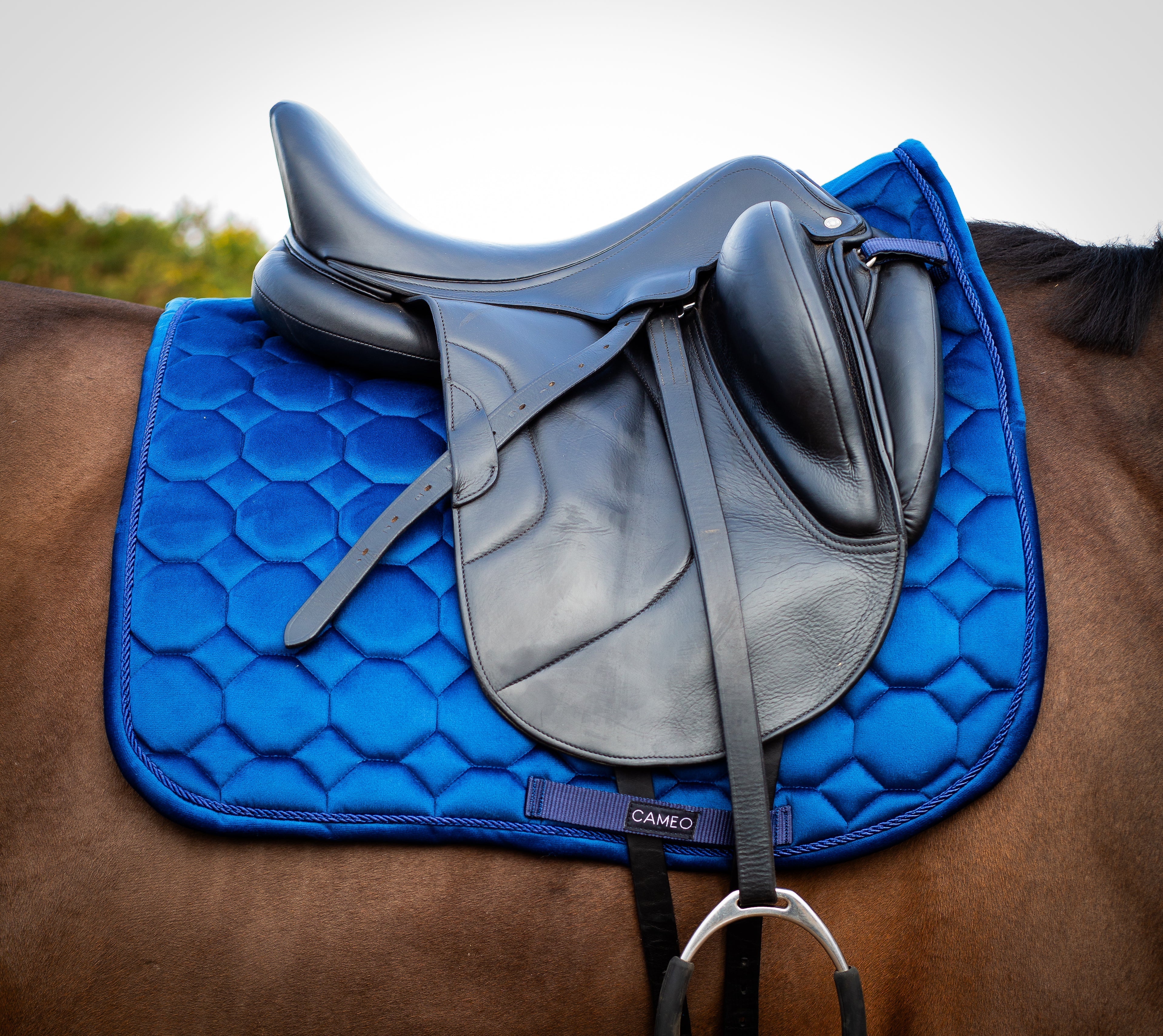 CAMEO Dressage Saddlecloth Navy on Horse. Blue equestrian saddle pad, black leather saddle, for dressage riding equipment.