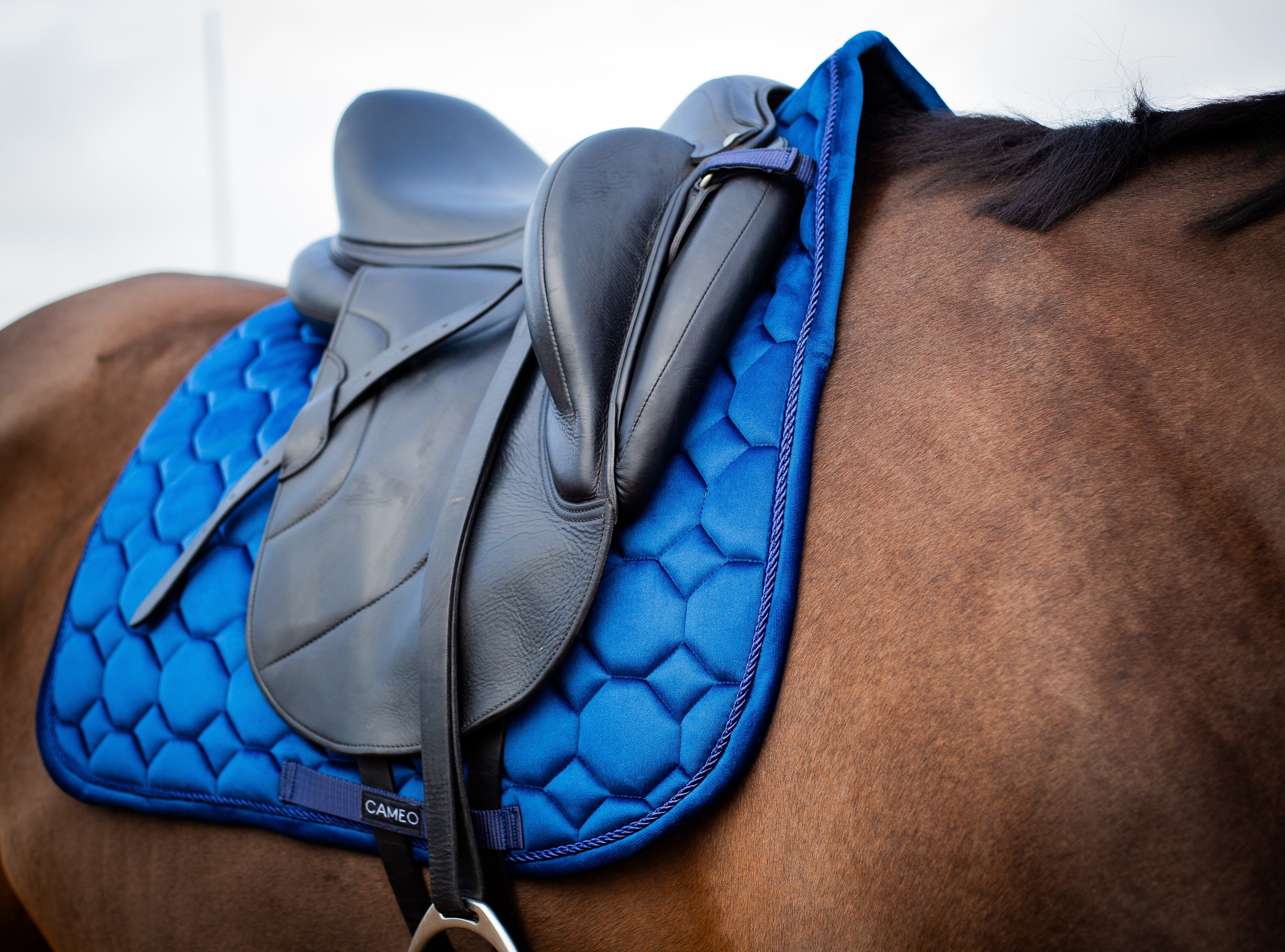 CAMEO Navy Dressage Saddlecloth: Luxurious Suede, Ergonomic Fit, and Breathable - Perfect for Horse Riding Comfort.