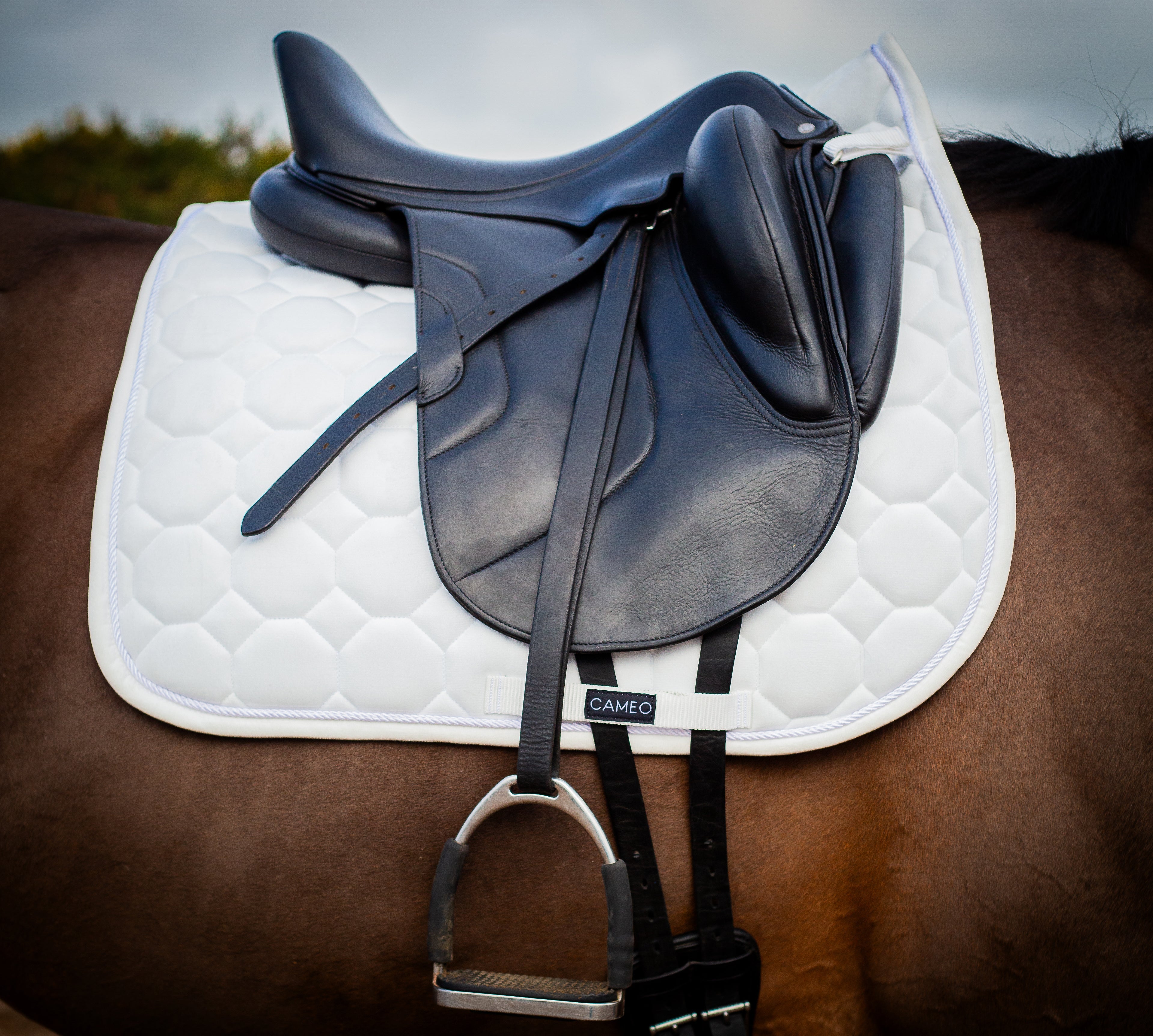 CAMEO Dressage Saddlecloth White from Equiflair: White dressage saddle pad on a horse