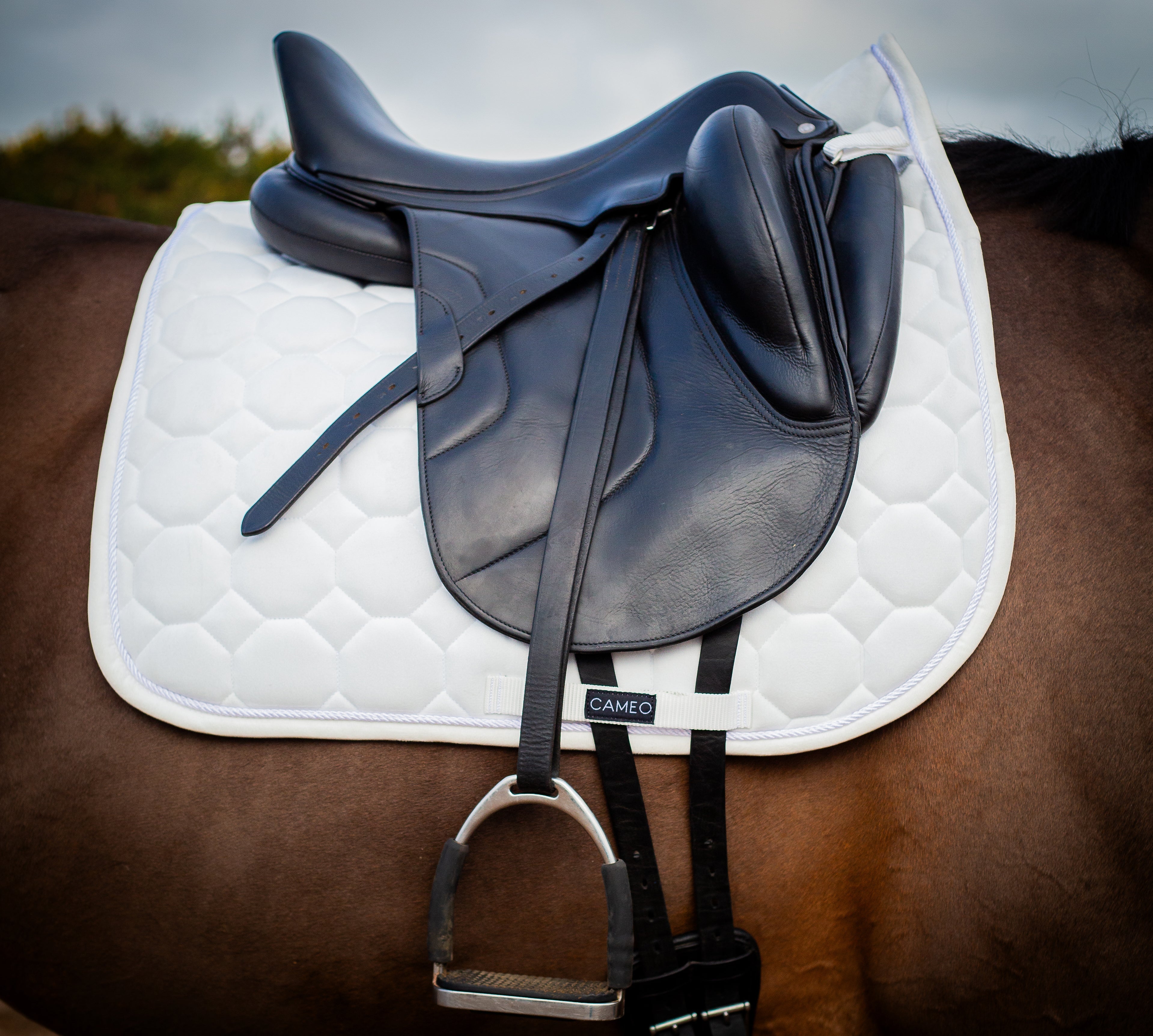 Cameo Dressage Saddlecloth White: Luxurious Equestrian Saddle Pad by Equiflair for Horse Riding
