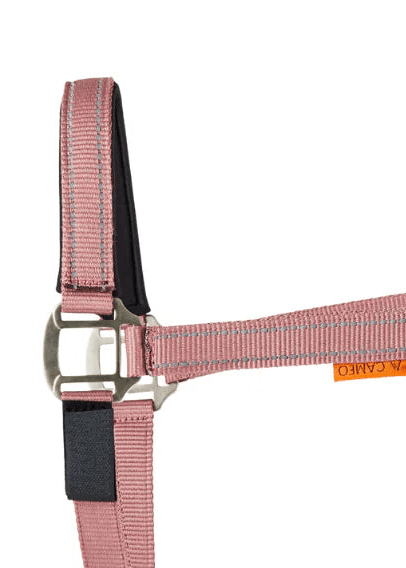 Cameo Field Safe Headcollar Dusky pink | Equiflair