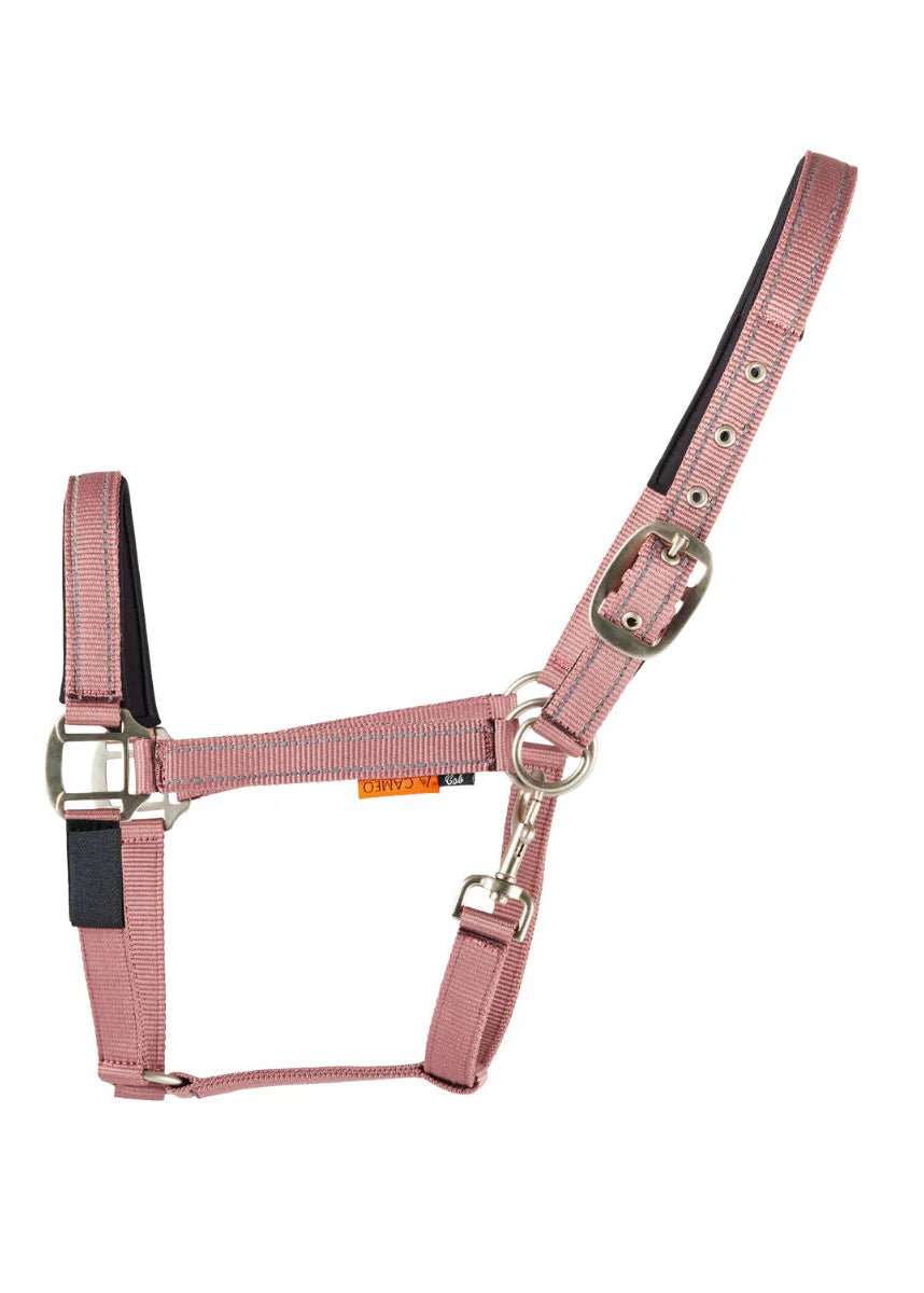 Cameo Field Safe Headcollar Dusky pink | Equiflair