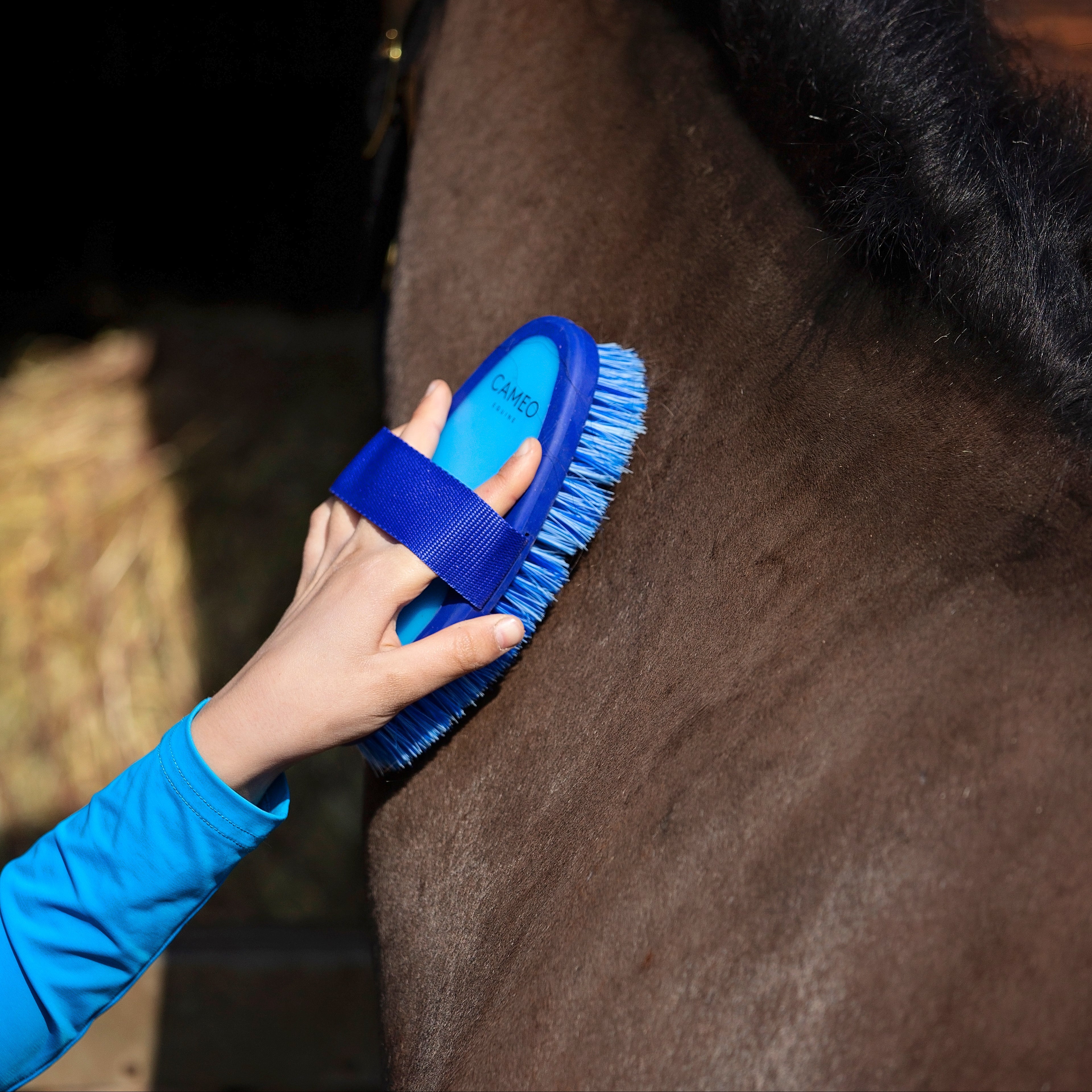 Cameo Flexi Brush Blue/Navy