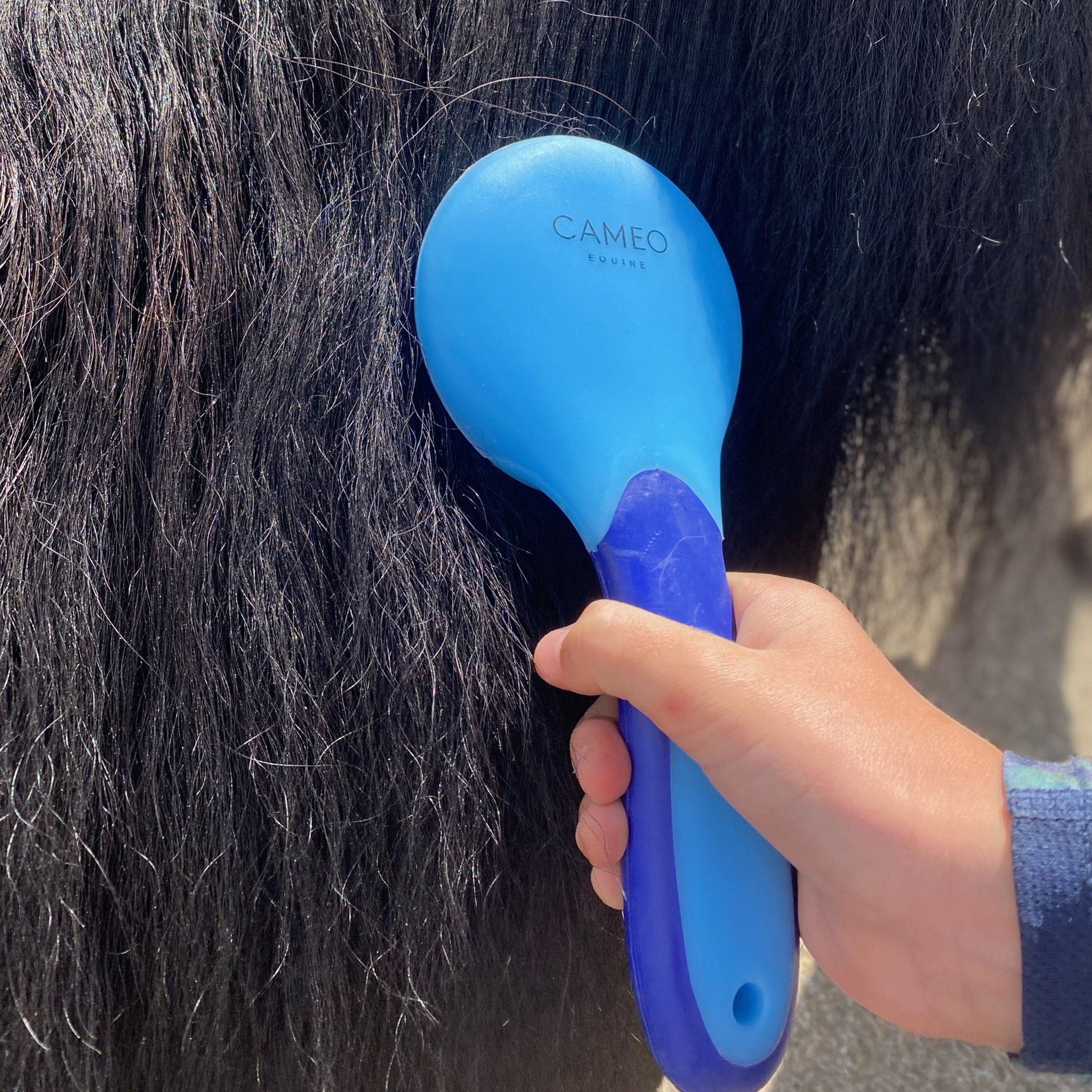 Horse grooming: Hand brushing a black mane with a blue Cameo Equine brush. Equine care and grooming supplies.