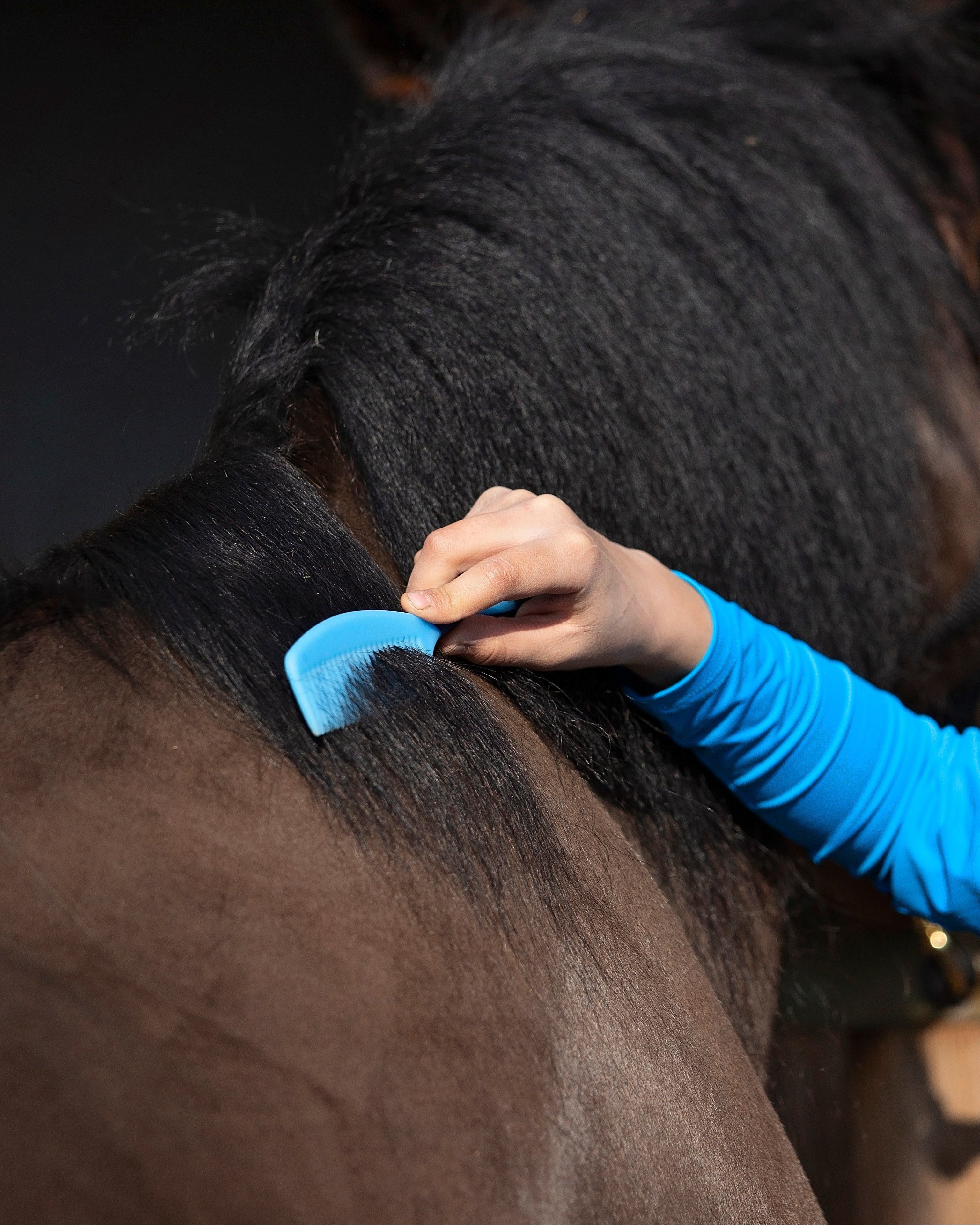 CAMEO Blue Mane Comb for Horse Grooming: Grooming a Horse's Mane with a Blue CAMEO Comb