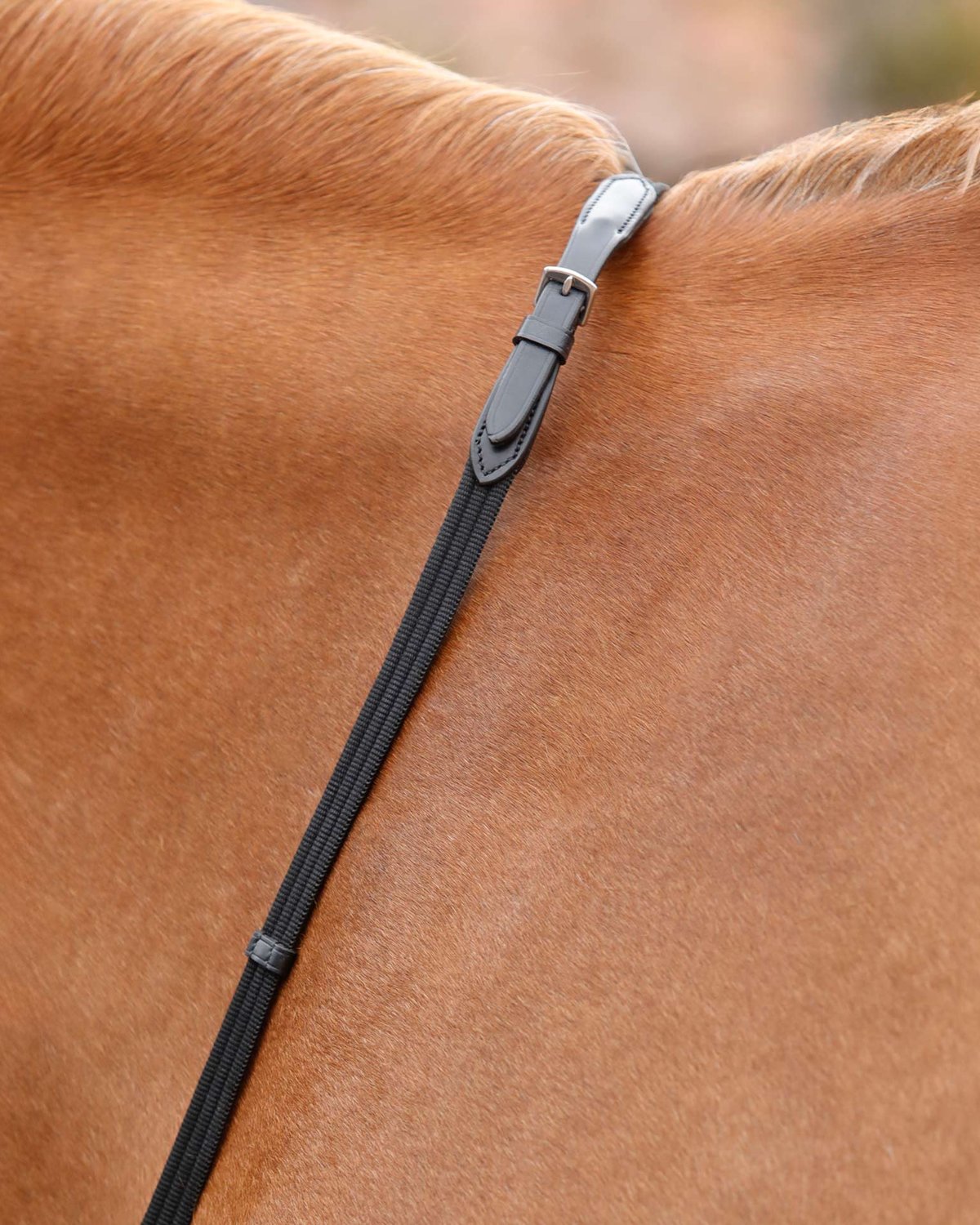 Premier Equine Caloveto Web Reins Black