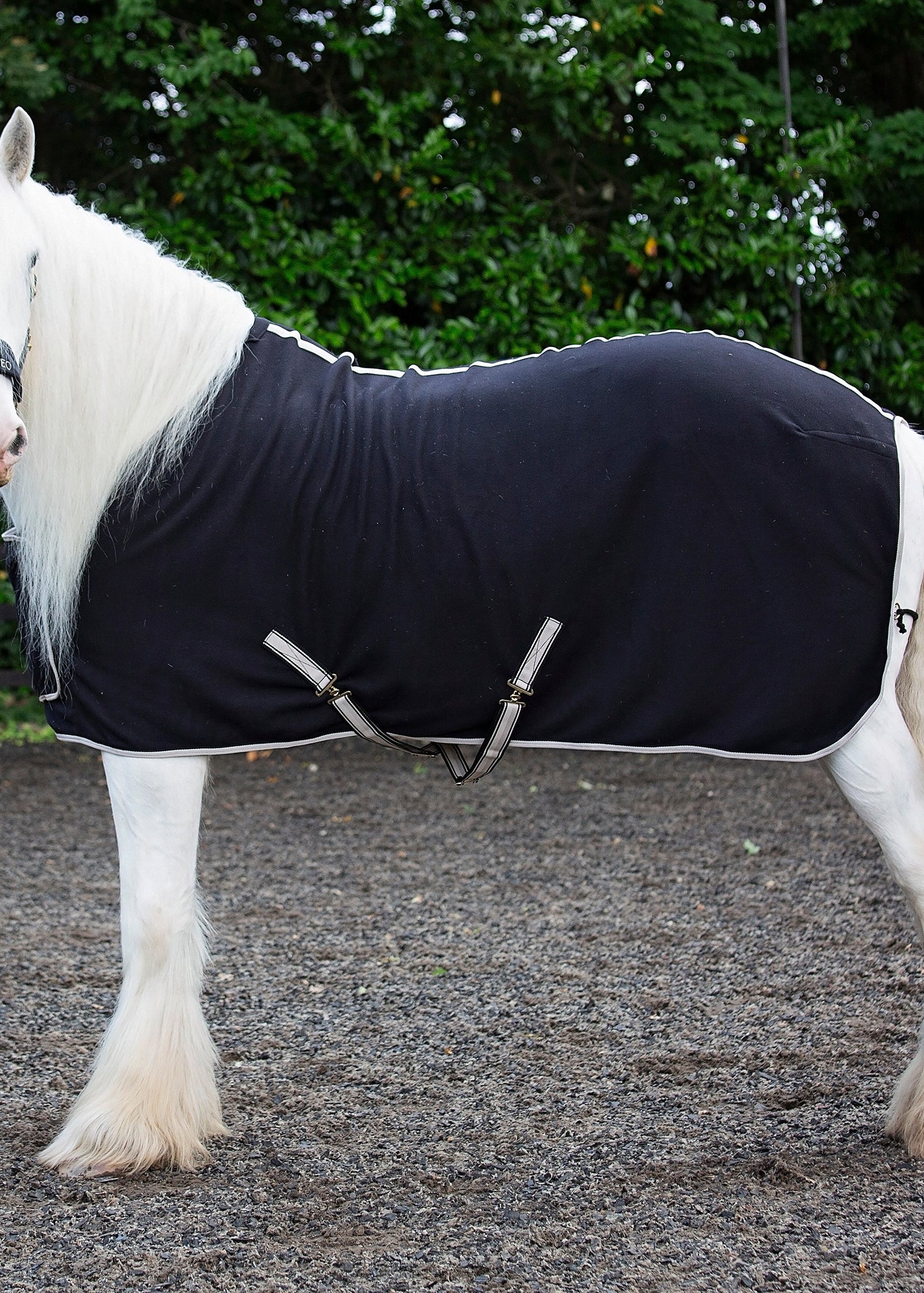 CAMEO Elevate Black Show Rug - Equiflair Horse Rug, Fleece Blanket, Show Ready - 6ft