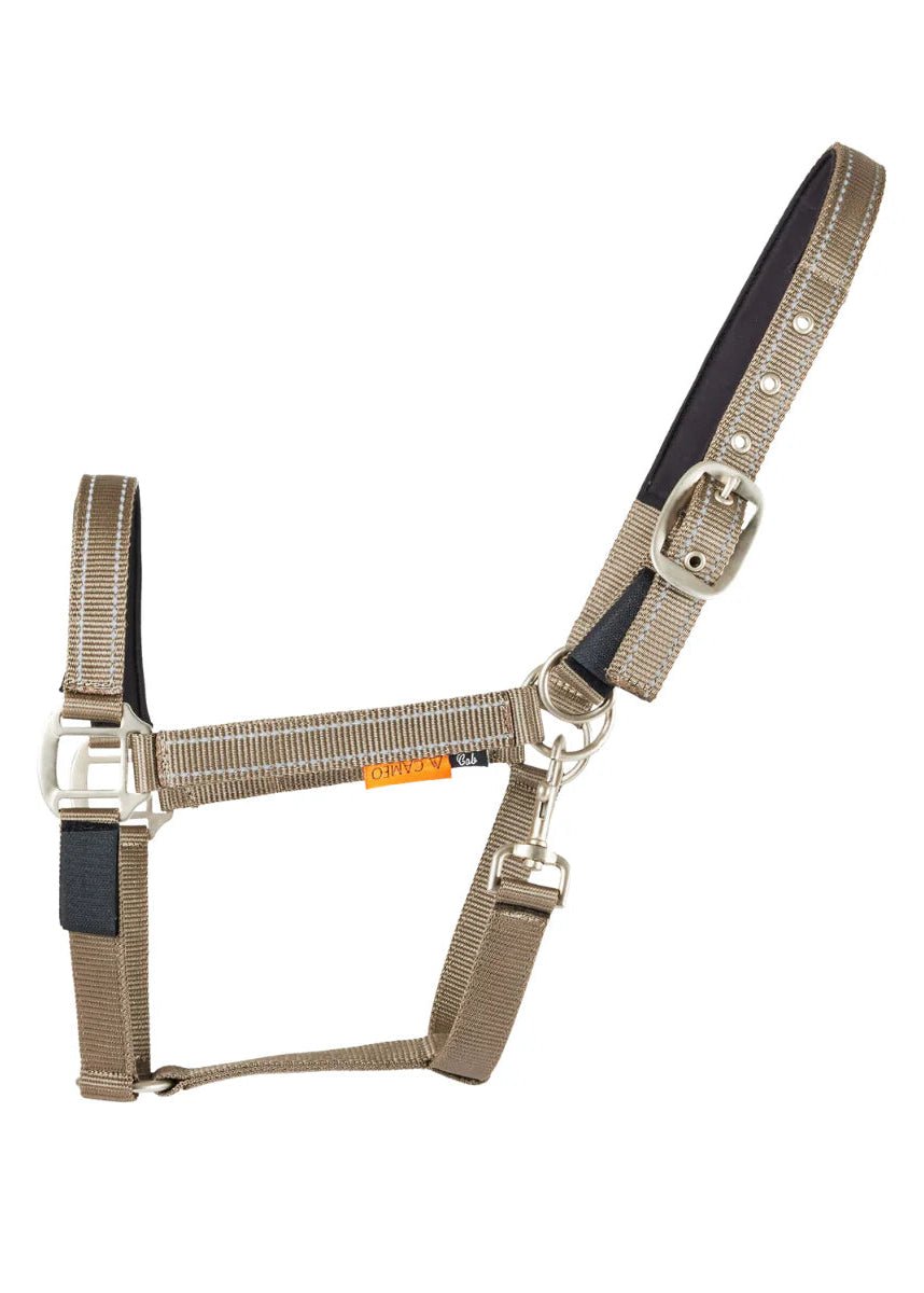 Cameo Field Safe Headcollar Mocha | Equiflair