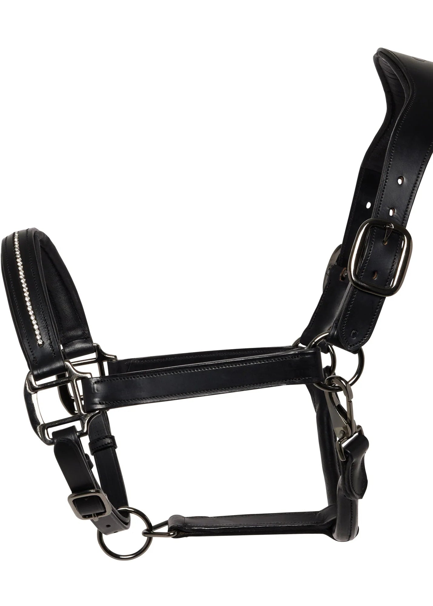 Cameo Performance Leather Horse Headcollar Black | Diamante Inlaid Noseband | Premium Equestrian Headwear