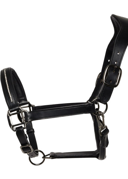 Cameo Competition Leather Headcollar Black | Equiflair