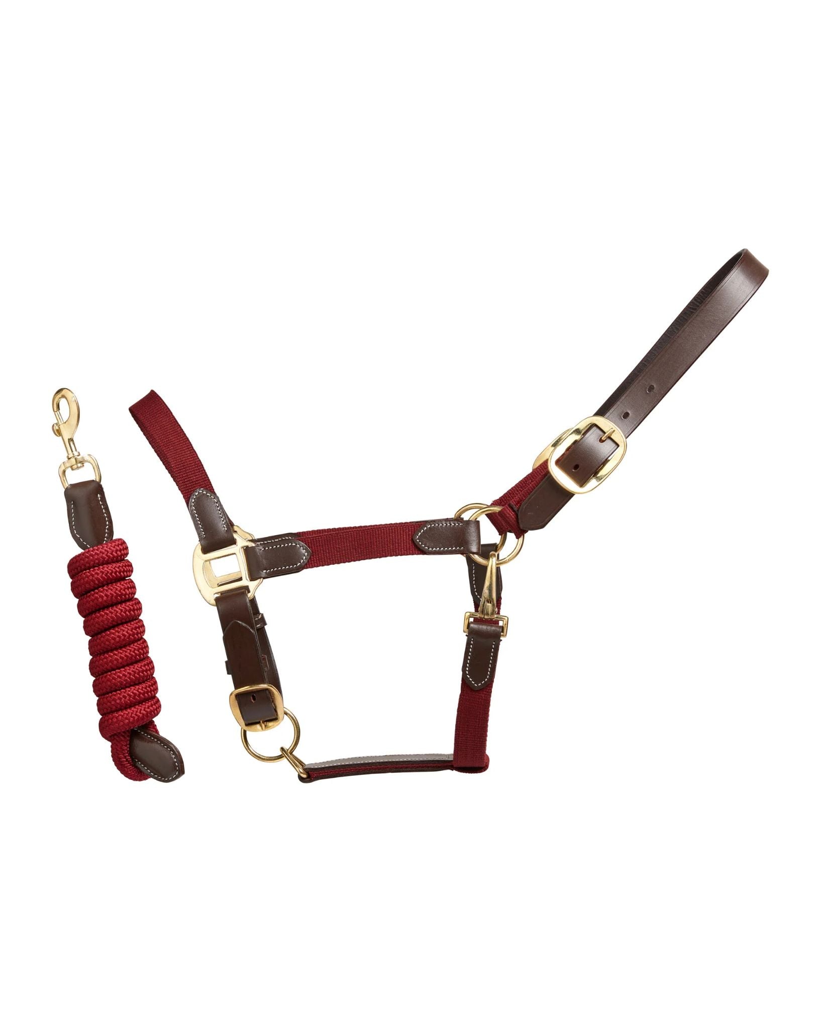 Cameo Performance Leather Headcollar & Lead Plum | Equiflair
