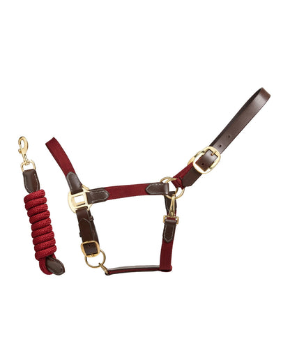 Cameo Performance Leather Headcollar & Lead Plum | Equiflair