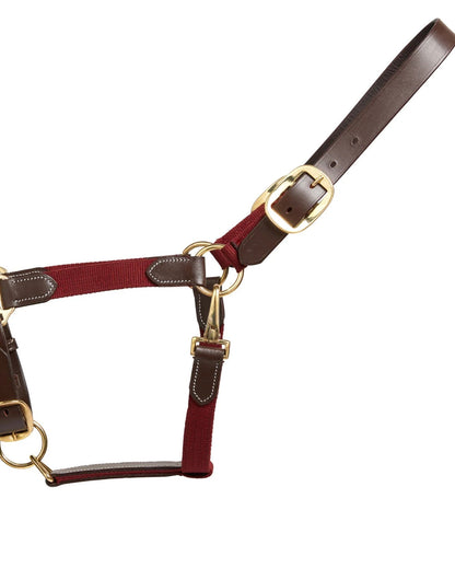 Cameo Performance Leather Headcollar & Lead Plum | Equiflair
