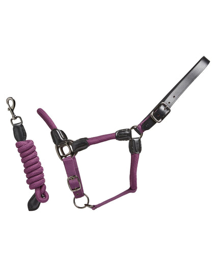Cameo Rope Leather Headcollar and Leadrope Deep Purple | Equiflair
