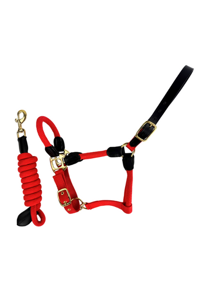 Red Rope Leather Horse Headcollar with Lead Rope | Equine Halter - Cameo location-109746323830-outofstock Pony