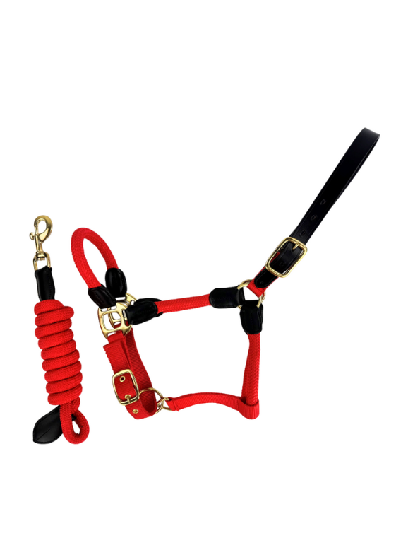 Red Rope Leather Horse Headcollar with Lead Rope | Equine Halter - Cameo location-109746323830-outofstock Pony