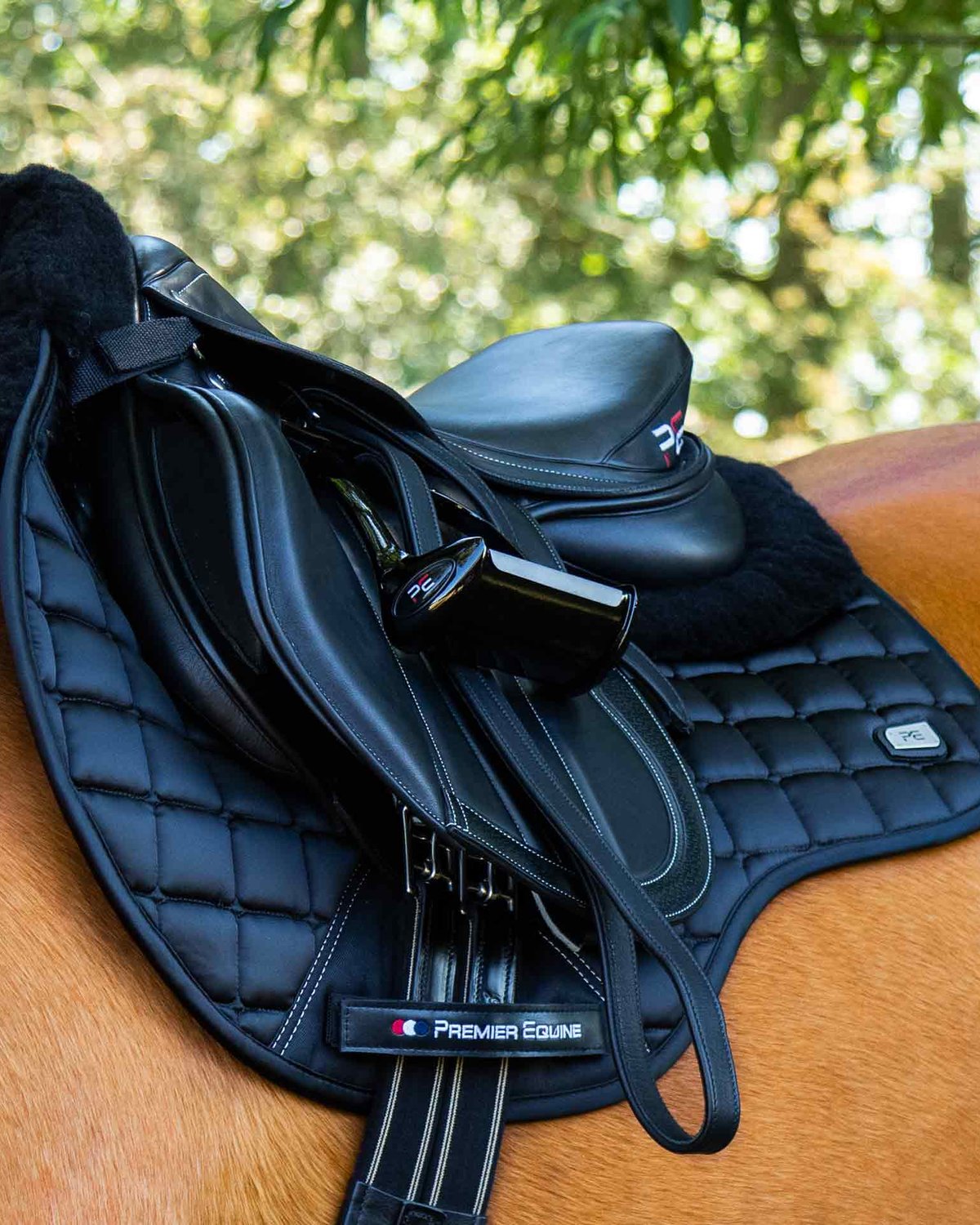 Premier Equine Capella Black Merino Wool GP/Jump Saddle Pad | Equiflair Equestrian Tack