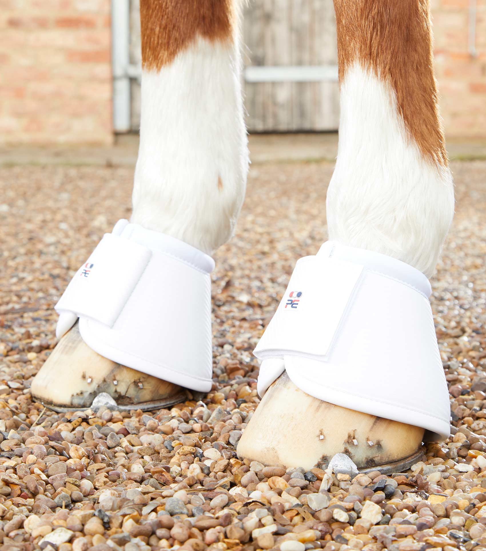 Premier Equine Carbon Wrap Over Reach Boots - White Horse Boots | Equiflair