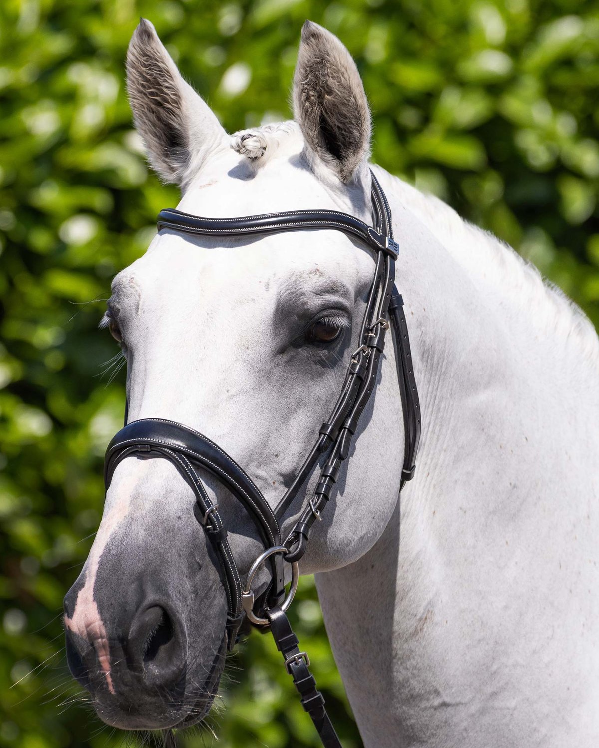 Premier Equine Cassano Snaffle Bridle: Black Leather Horse Bridle with Padded Headpiece and Noseband.