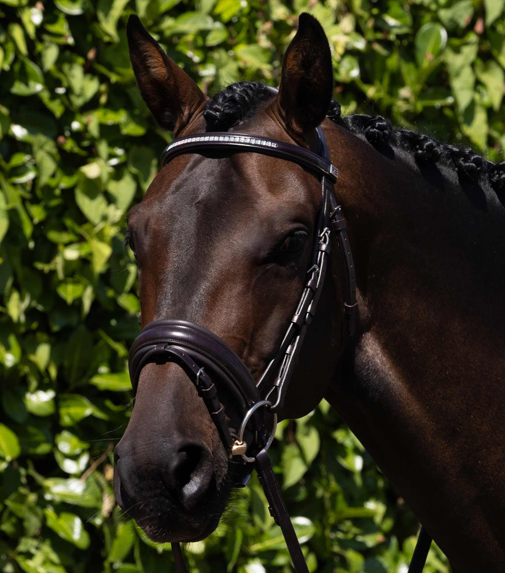 Brown Leather Anatomical Horse Bridle with Diamante Browband. Equiflair Castello Bridle for Comfort and Control.