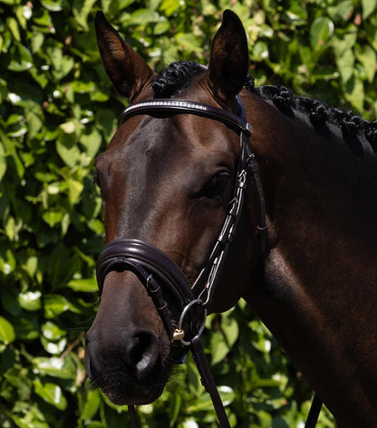 Brown Leather Anatomical Horse Bridle with Diamante Browband. Equiflair Castello Bridle for Comfort and Control.