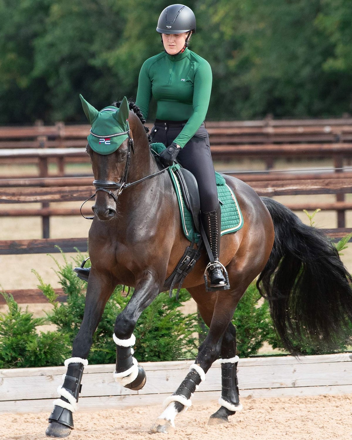 Dressage Horse with Green Premier Equine Merino Wool Saddle Pad, European Style. 