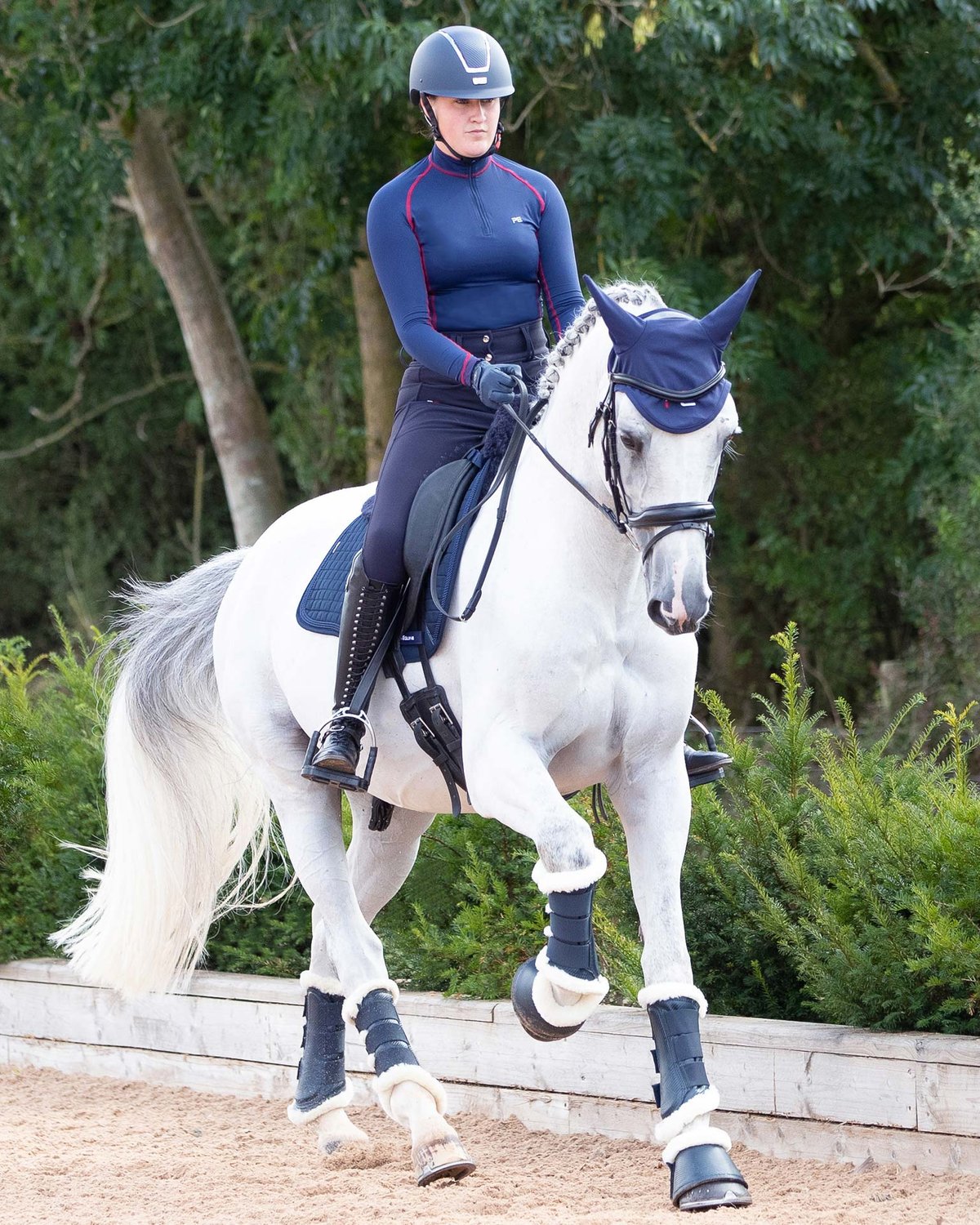 Dressage: Rider & Grey Horse with Premier Equine Navy Merino Wool Saddle Pad, Boot Protectors and Ear Cover. Equiflair for High Quality Gear.