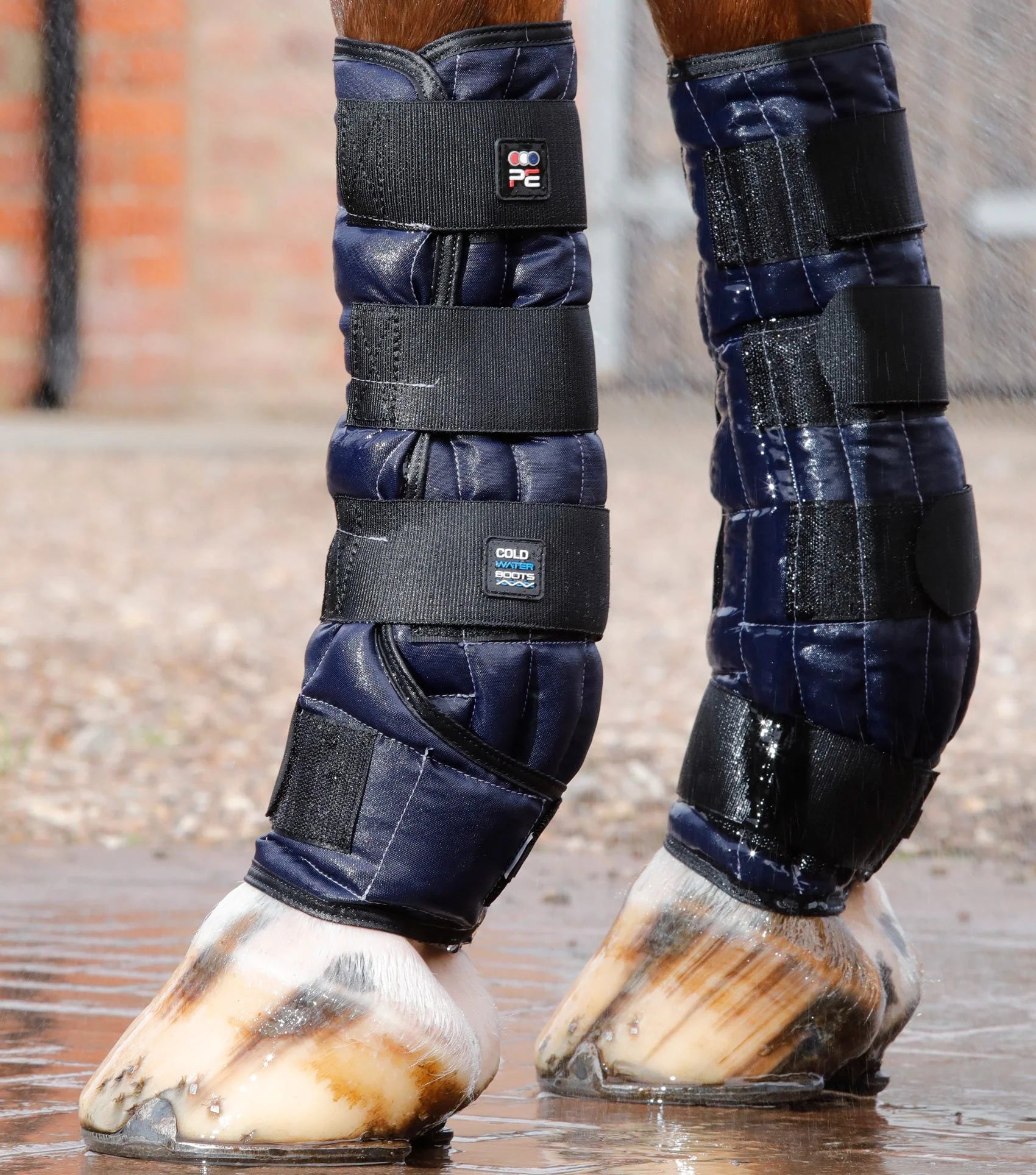 Premier Equine Cold Water Boots Navy: Horse Leg Cooling for Tendon Support & Swelling Reduction - Equiflair