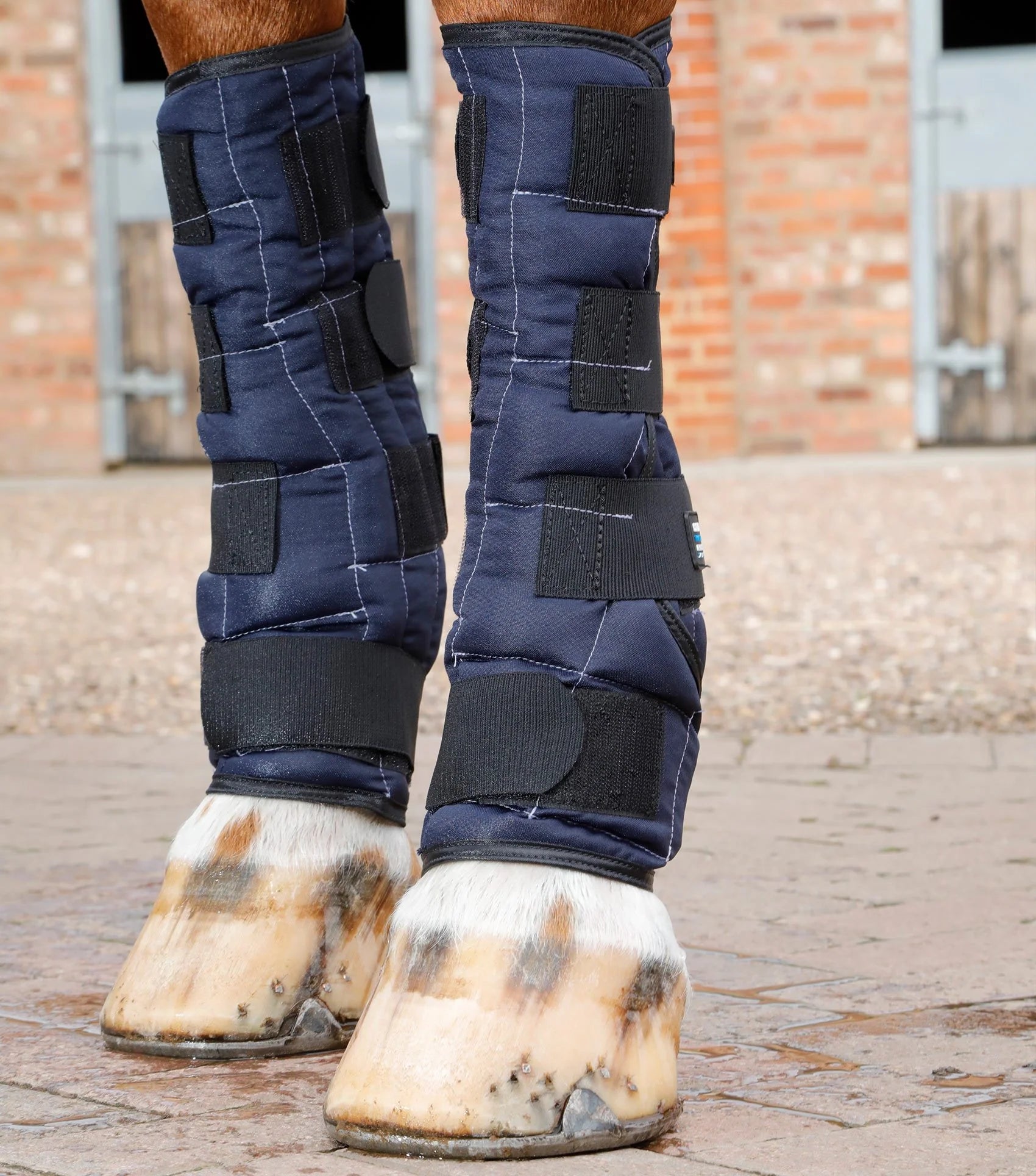 Horse Legs with Premier Equine Cold Water Boots - Cooling Therapy, Swelling Reduction