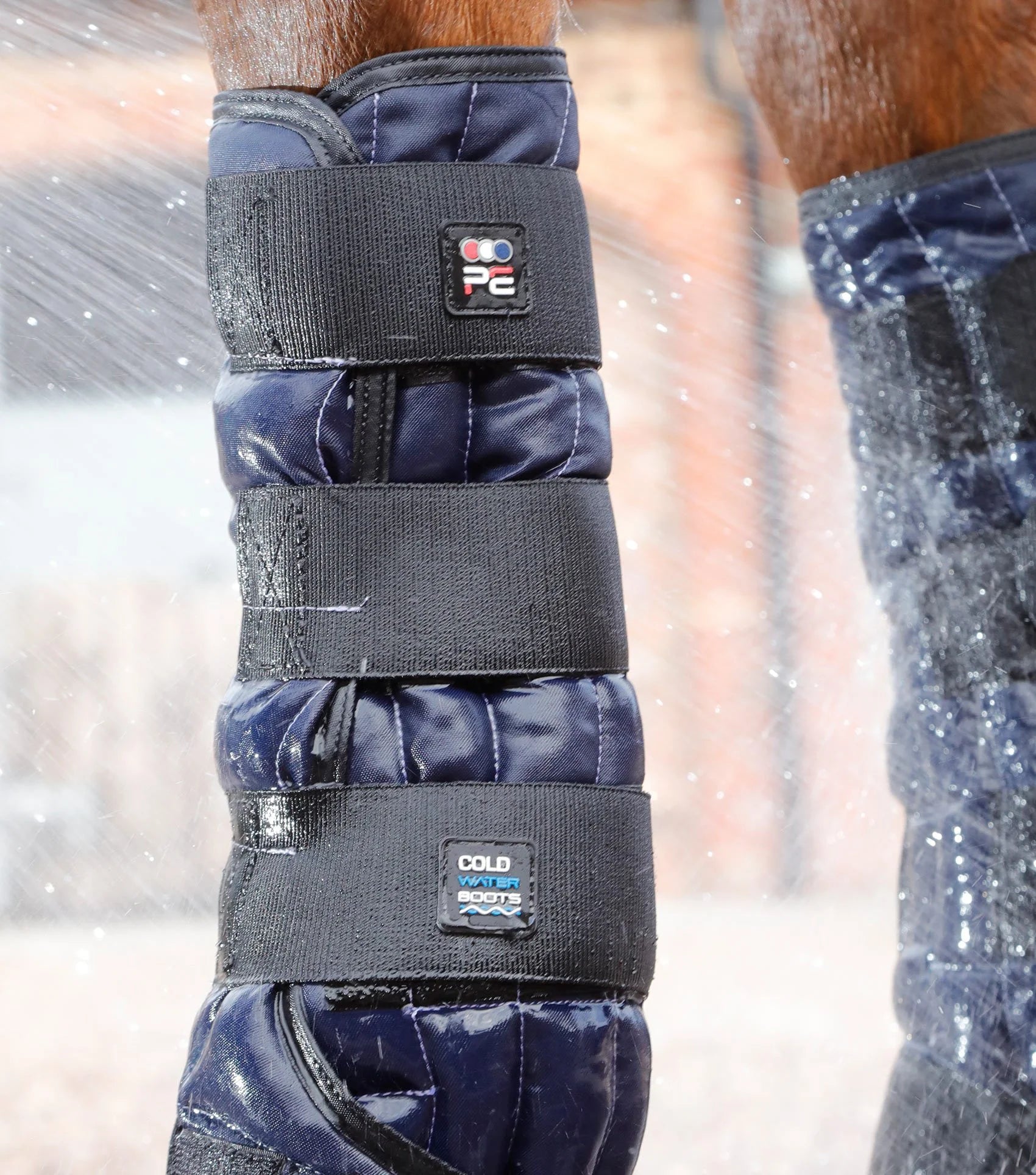 Horse Leg Cold Water Boots by Premier Equine: Cooling Therapy for Equine Legs