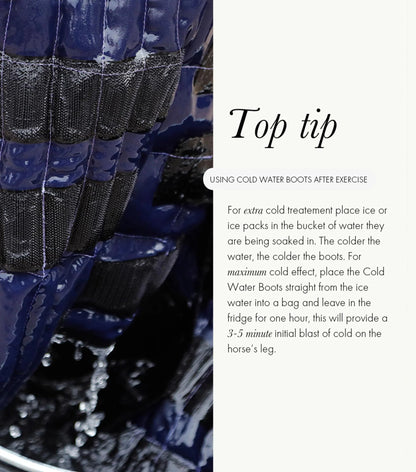 Premier Equine Cold Water Boots for Horses: Soaking in Ice Water for Post-Exercise Cooling & Therapy