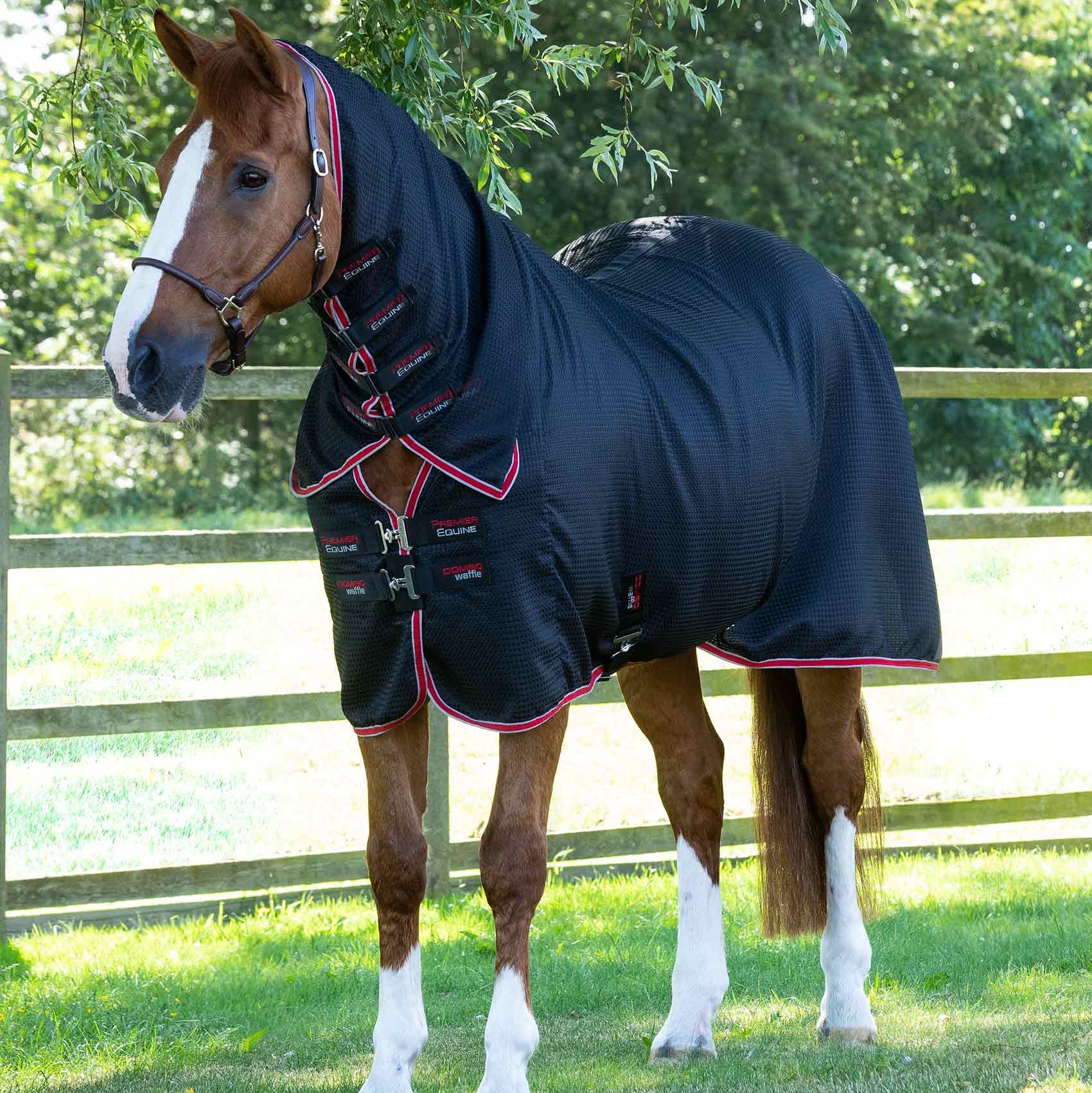 Horse in Premier Equine Black Waffle Cooler Rug. Combo Buster horse rug with neck cover for cooling and comfort.