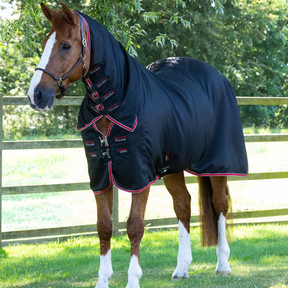 Horse in Premier Equine Black Waffle Cooler Rug. Combo Buster horse rug with neck cover for cooling and comfort.