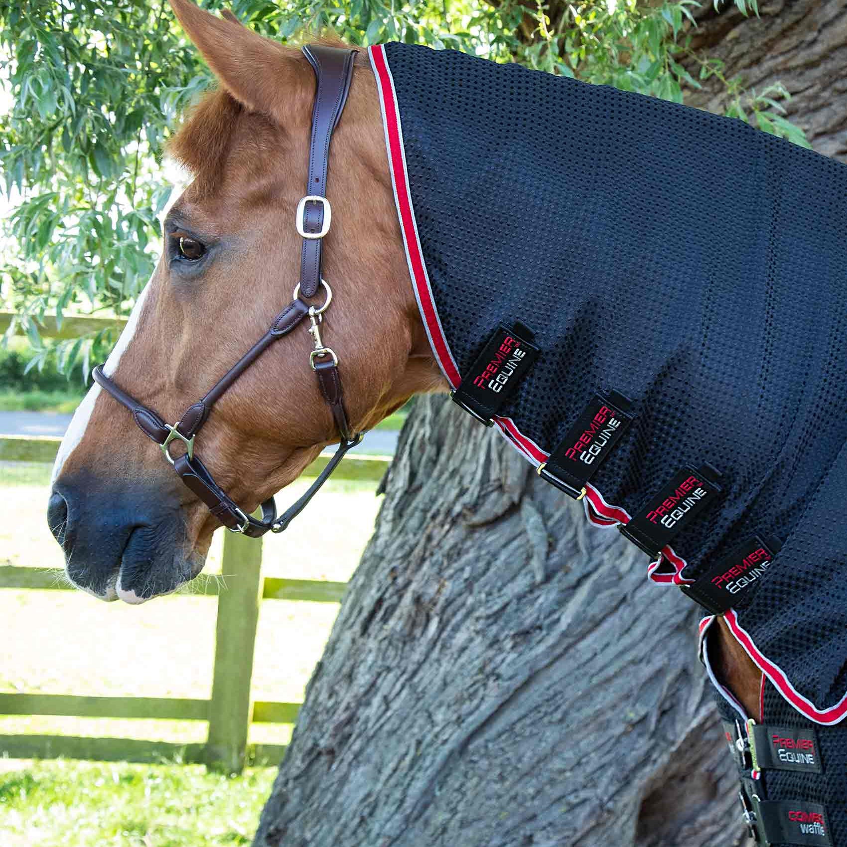 Premier Equine Combo Buster Waffle Horse Cooler Rug Black with Integrated Neck Cover